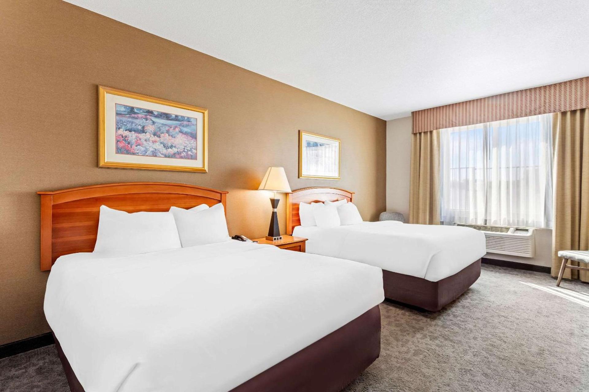 Comfort Inn & Suites I-25 near Spaceport America photo 15