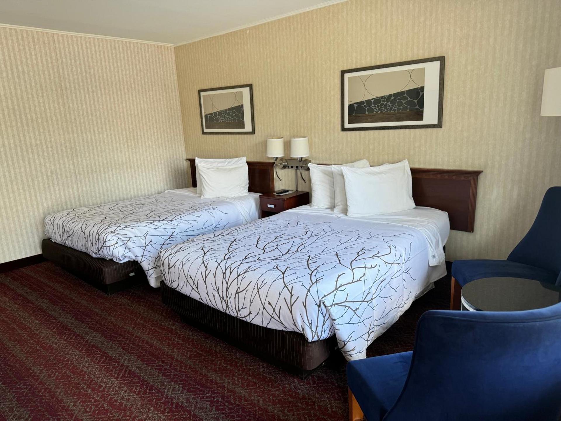 The Black Mountain Inn photo 77