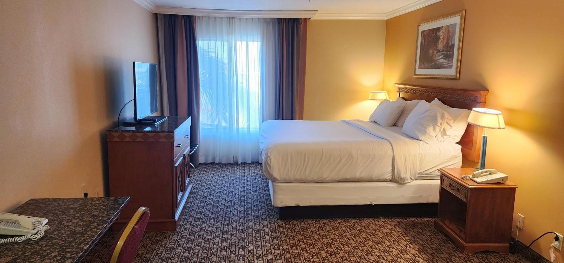 Hotel Xola photo 21