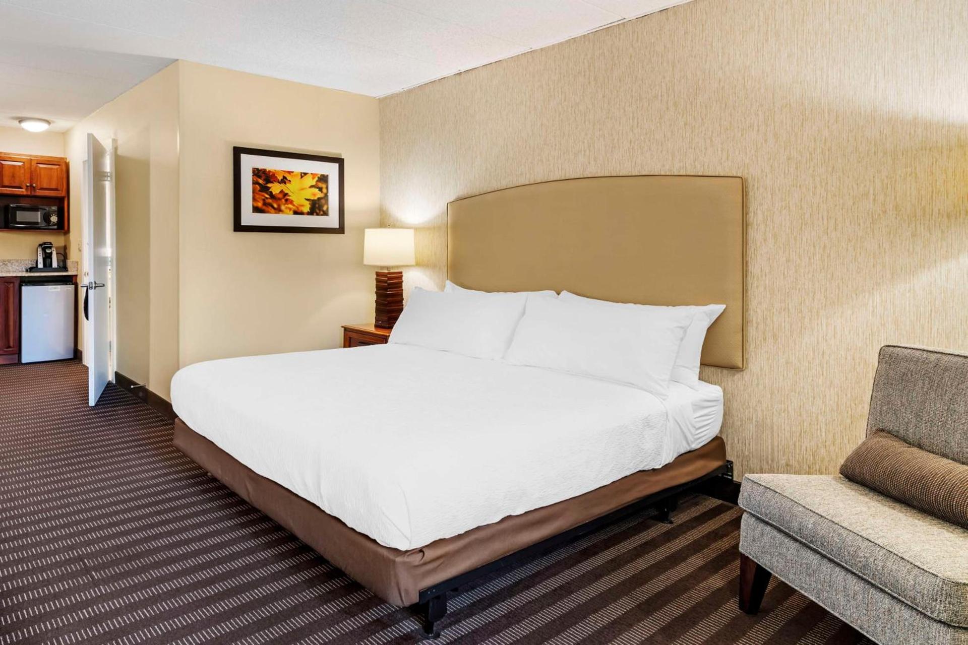 Best Western Springfield Hotel photo 39