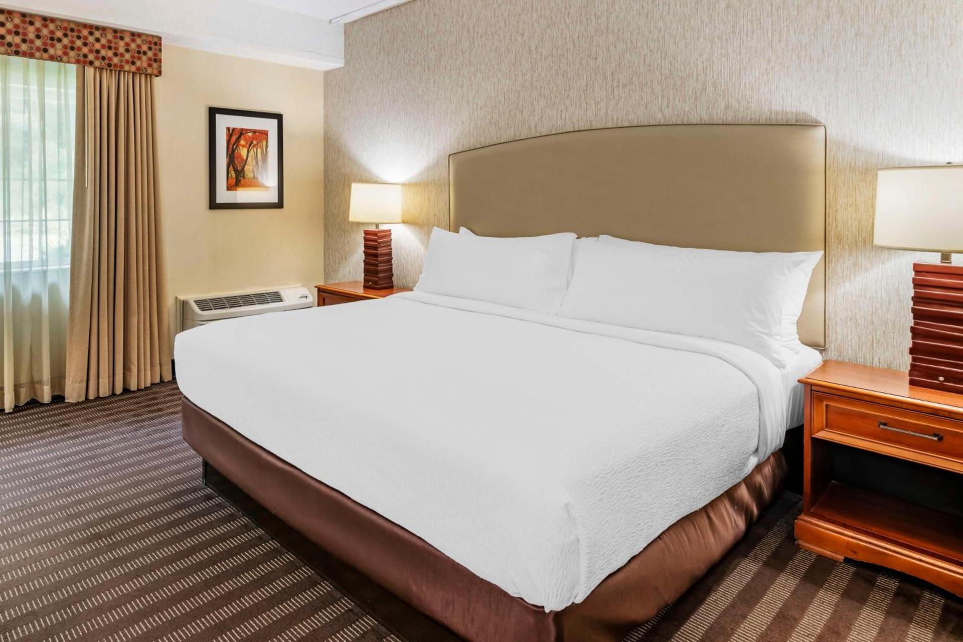 Best Western Springfield Hotel photo 42