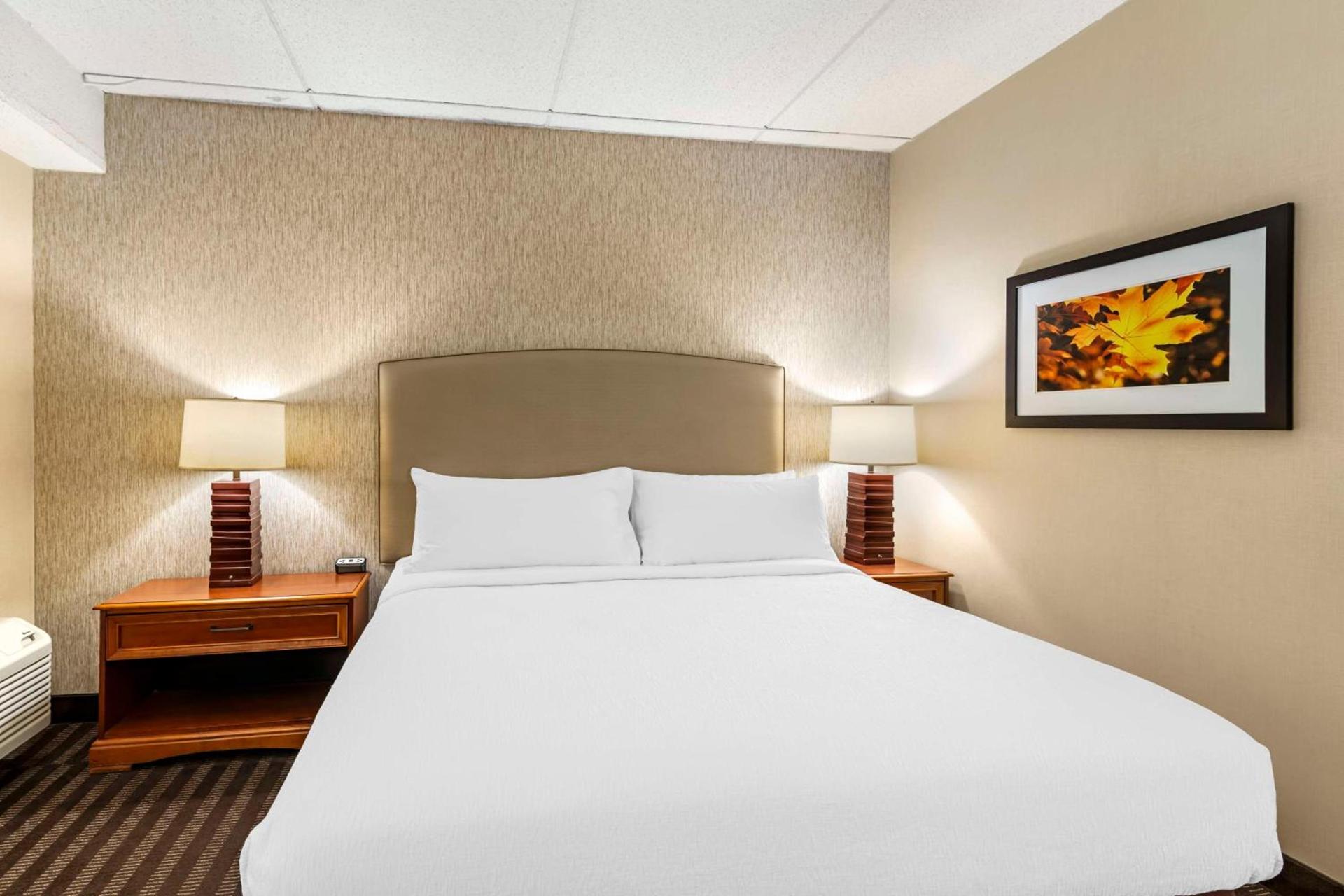 Best Western Springfield Hotel photo 43