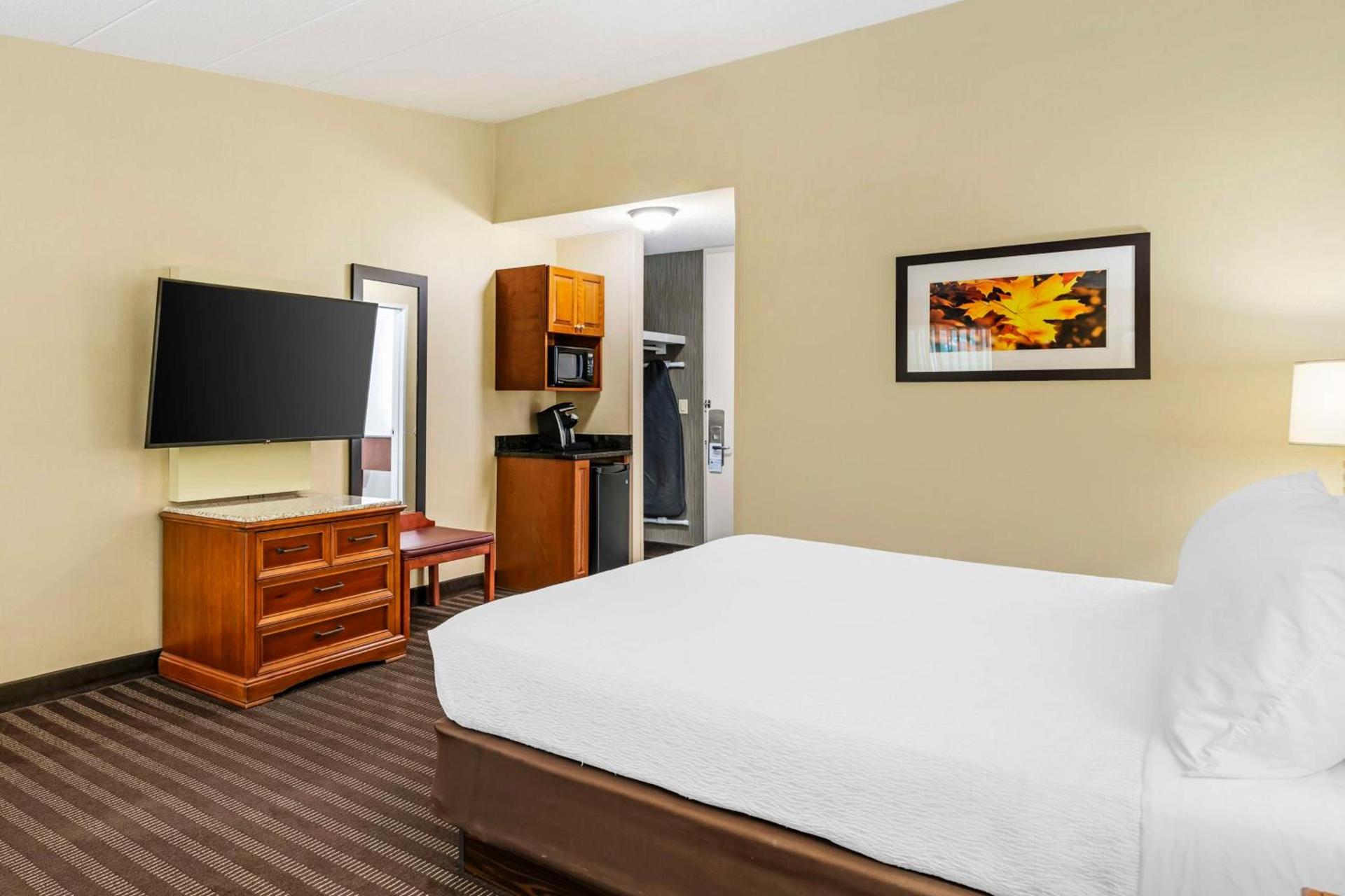 Best Western Springfield Hotel photo 48