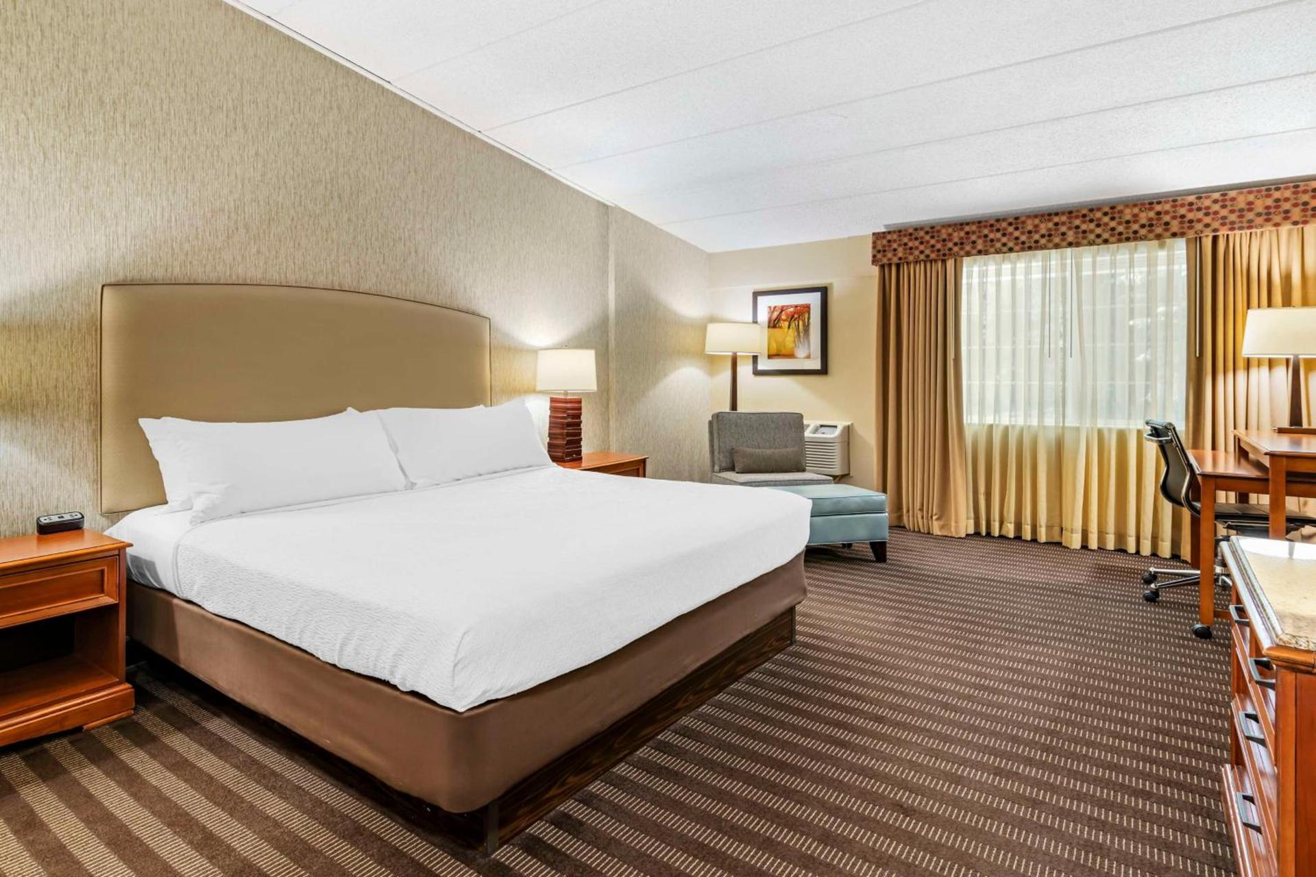 Best Western Springfield Hotel photo 46