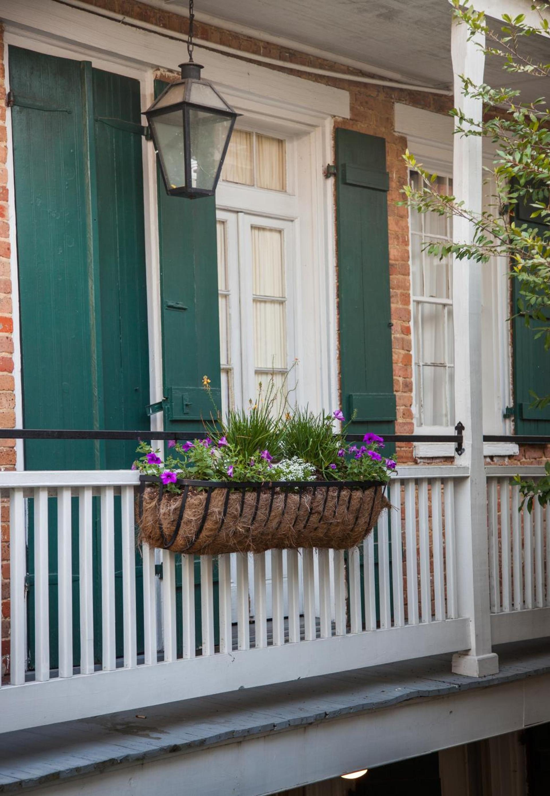 Hotel St. Pierre French Quarter photo 15