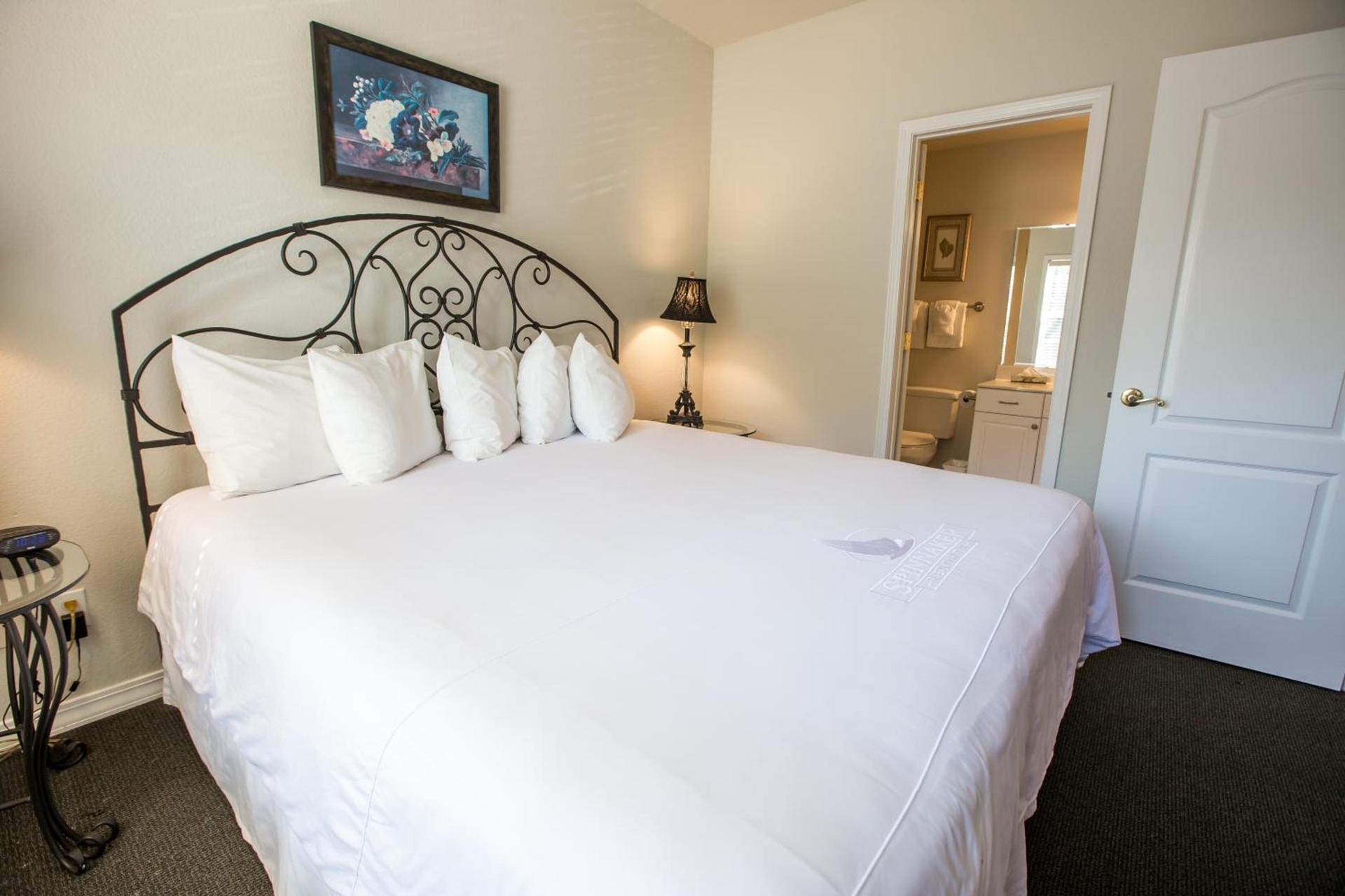 French Quarter Resort by CoolVacay photo 31