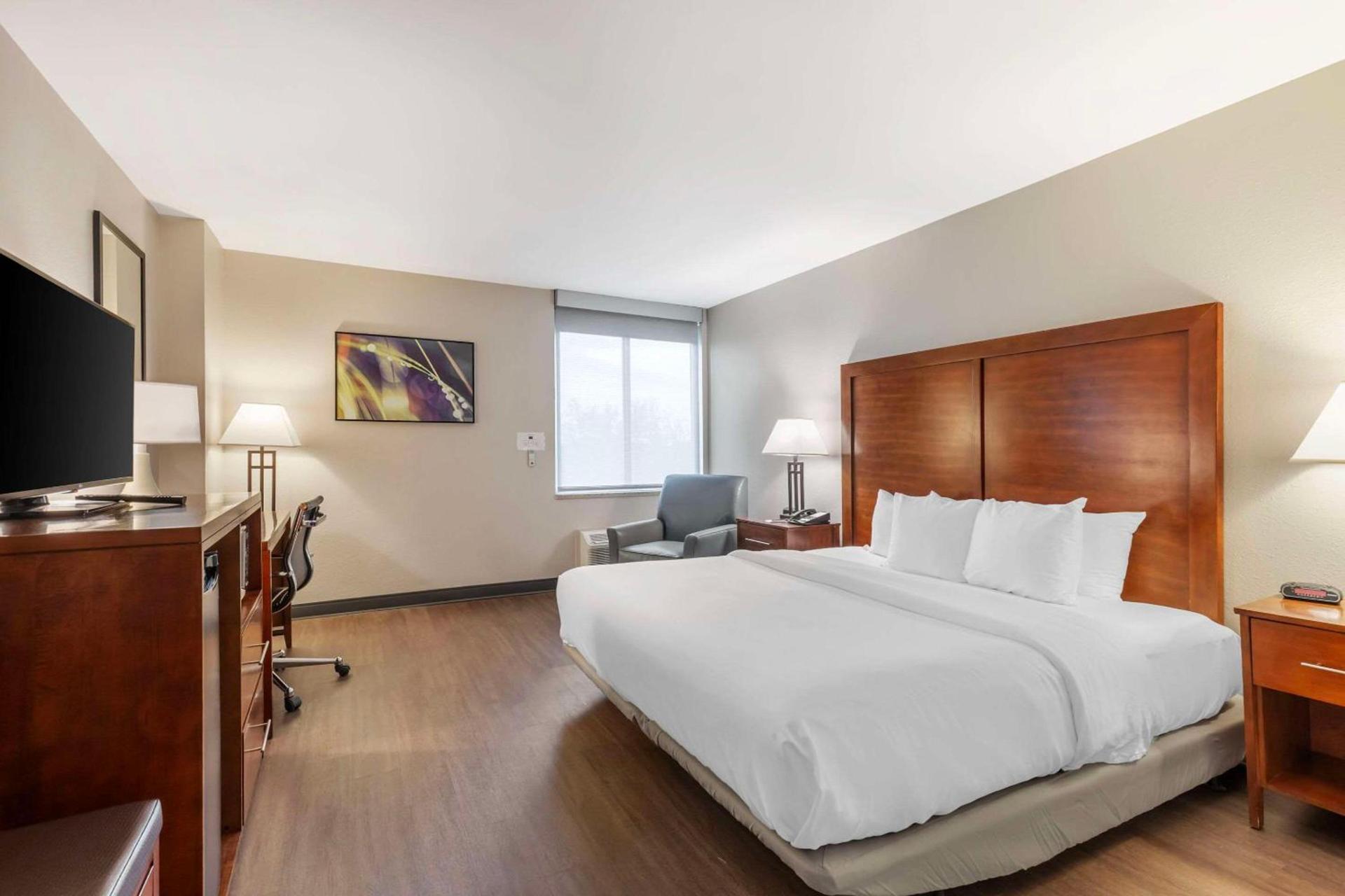 Comfort Inn Conference Center photo 3