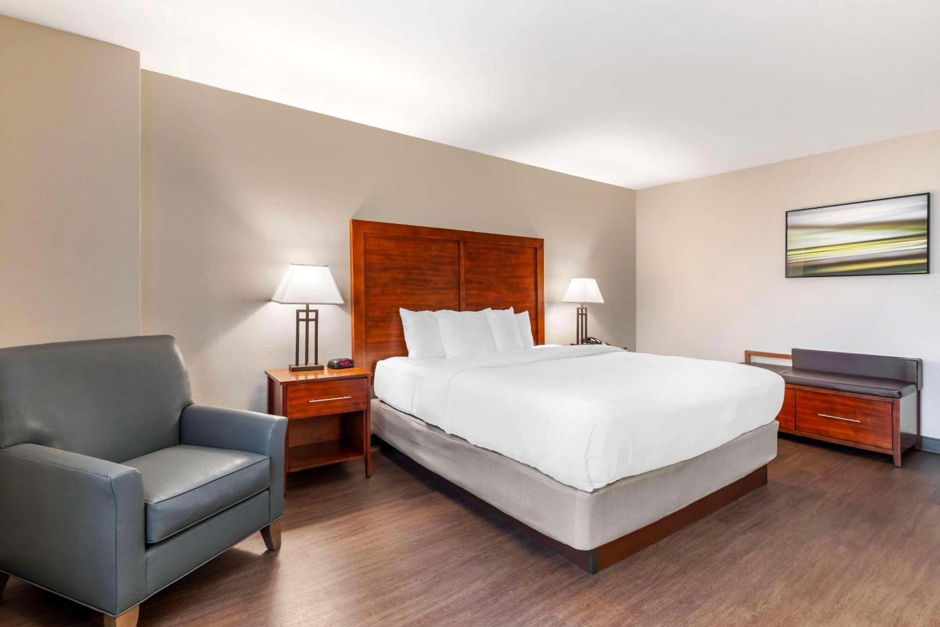 Comfort Inn Conference Center photo 11