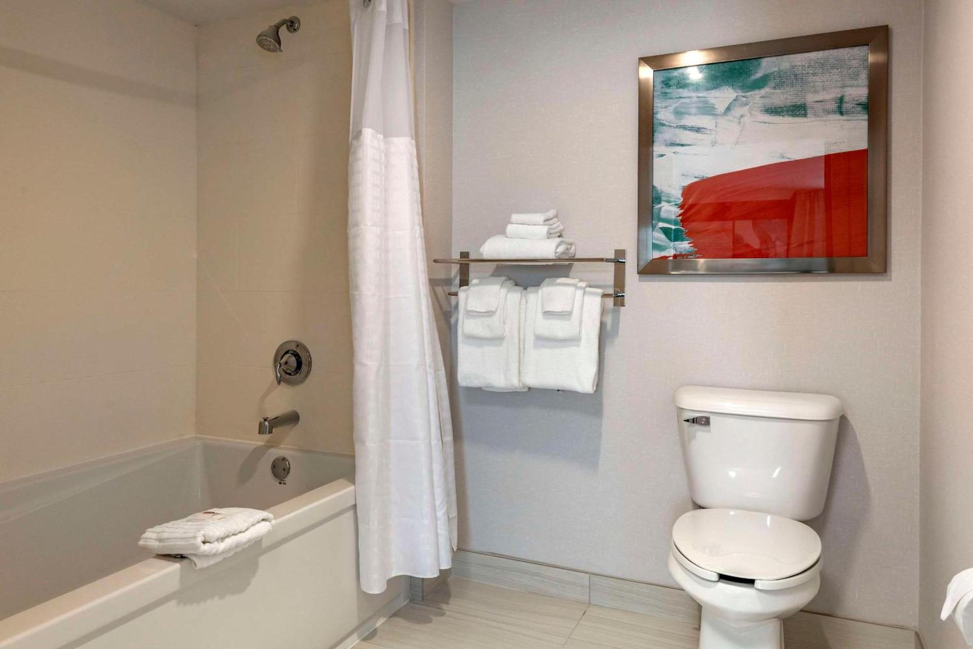 Comfort Inn & Suites Hadley - Amherst photo 22
