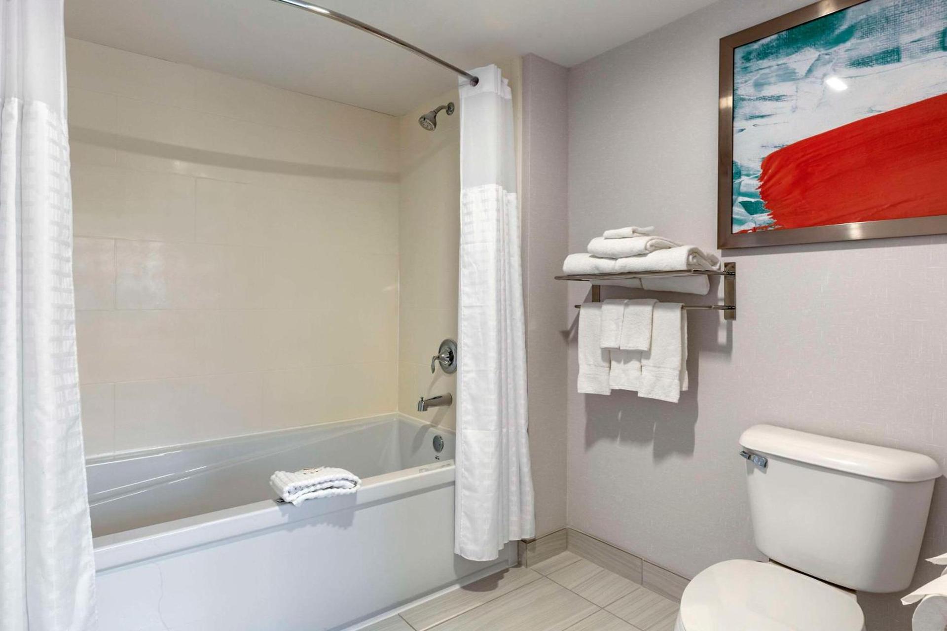 Comfort Inn & Suites Hadley - Amherst photo 26