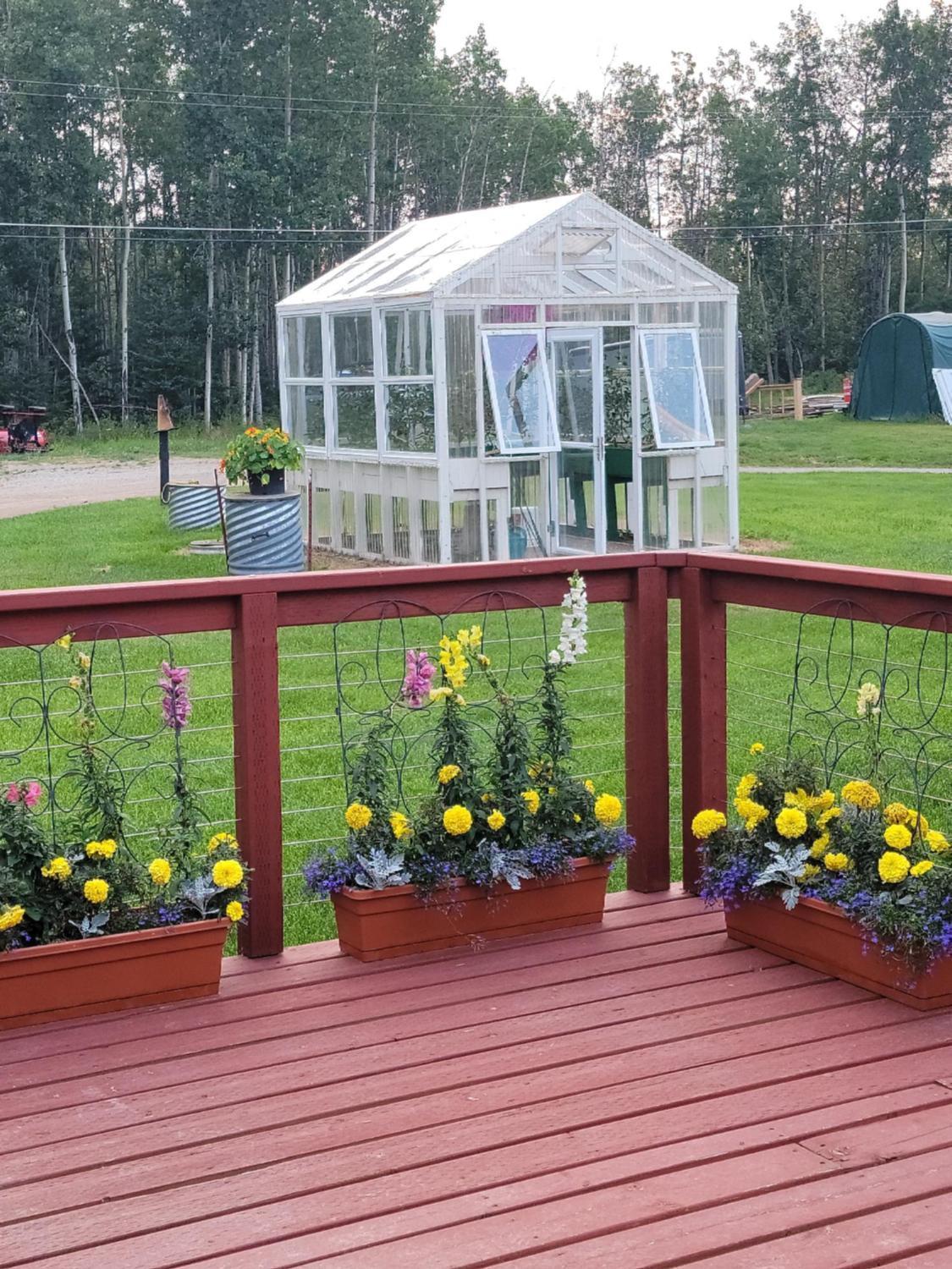 Alaska Country Inn photo 29