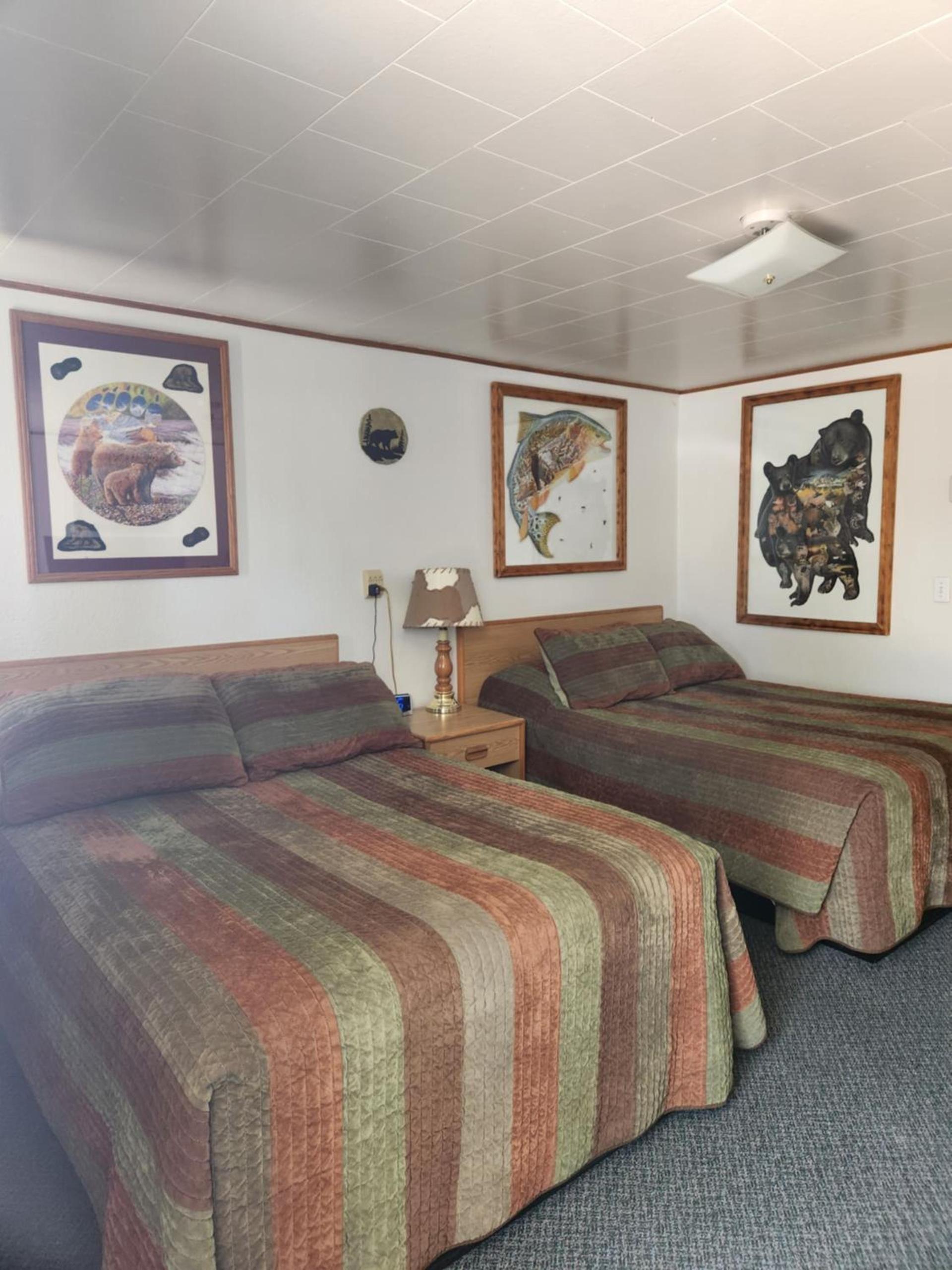 Antler Motel photo 10