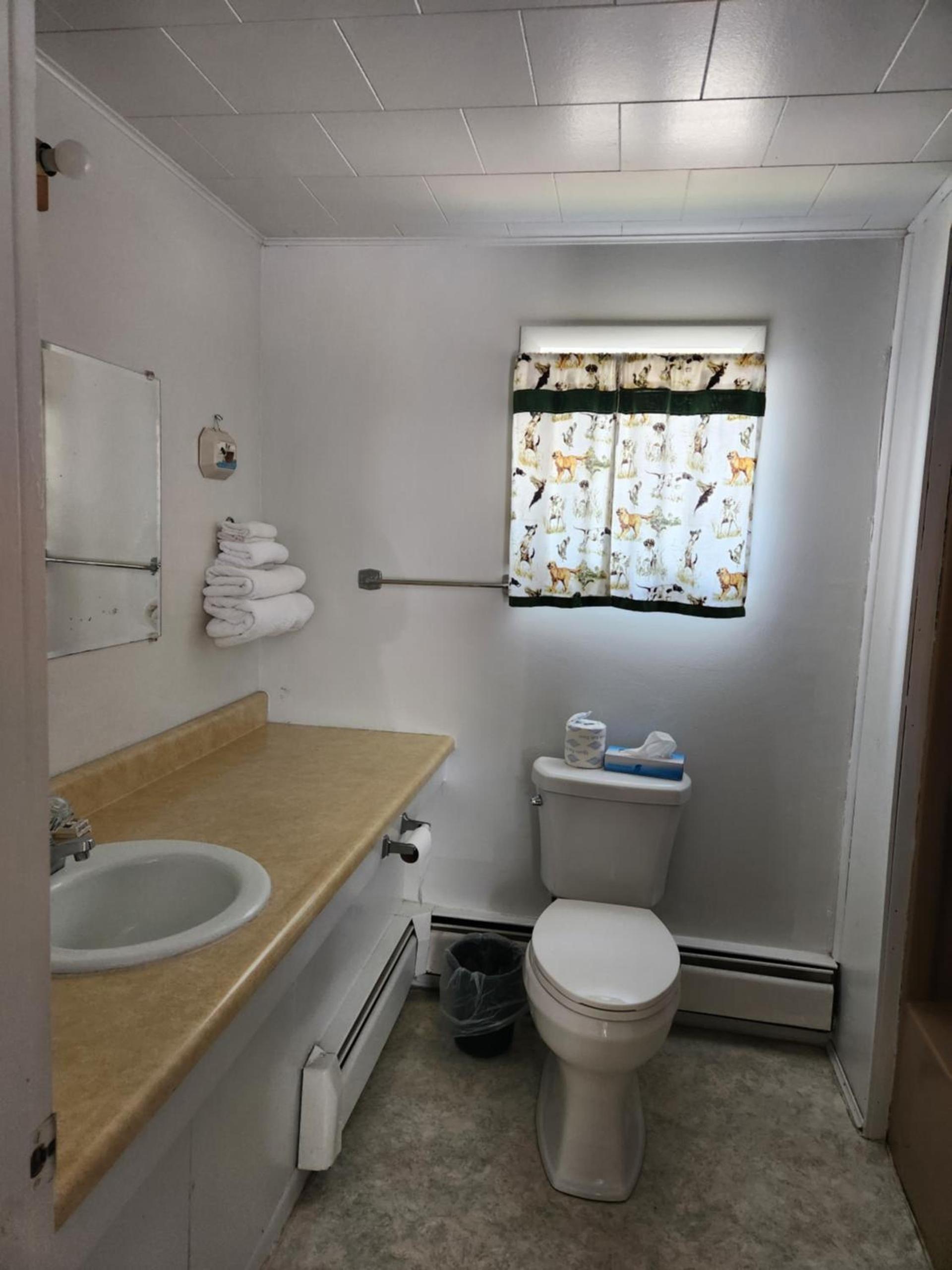 Antler Motel photo 12