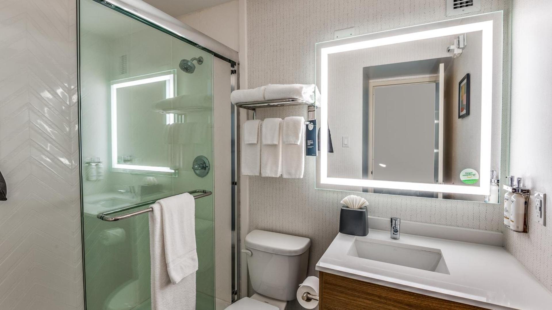 Holiday Inn Dallas Market Ctr Love Field by IHG photo 57