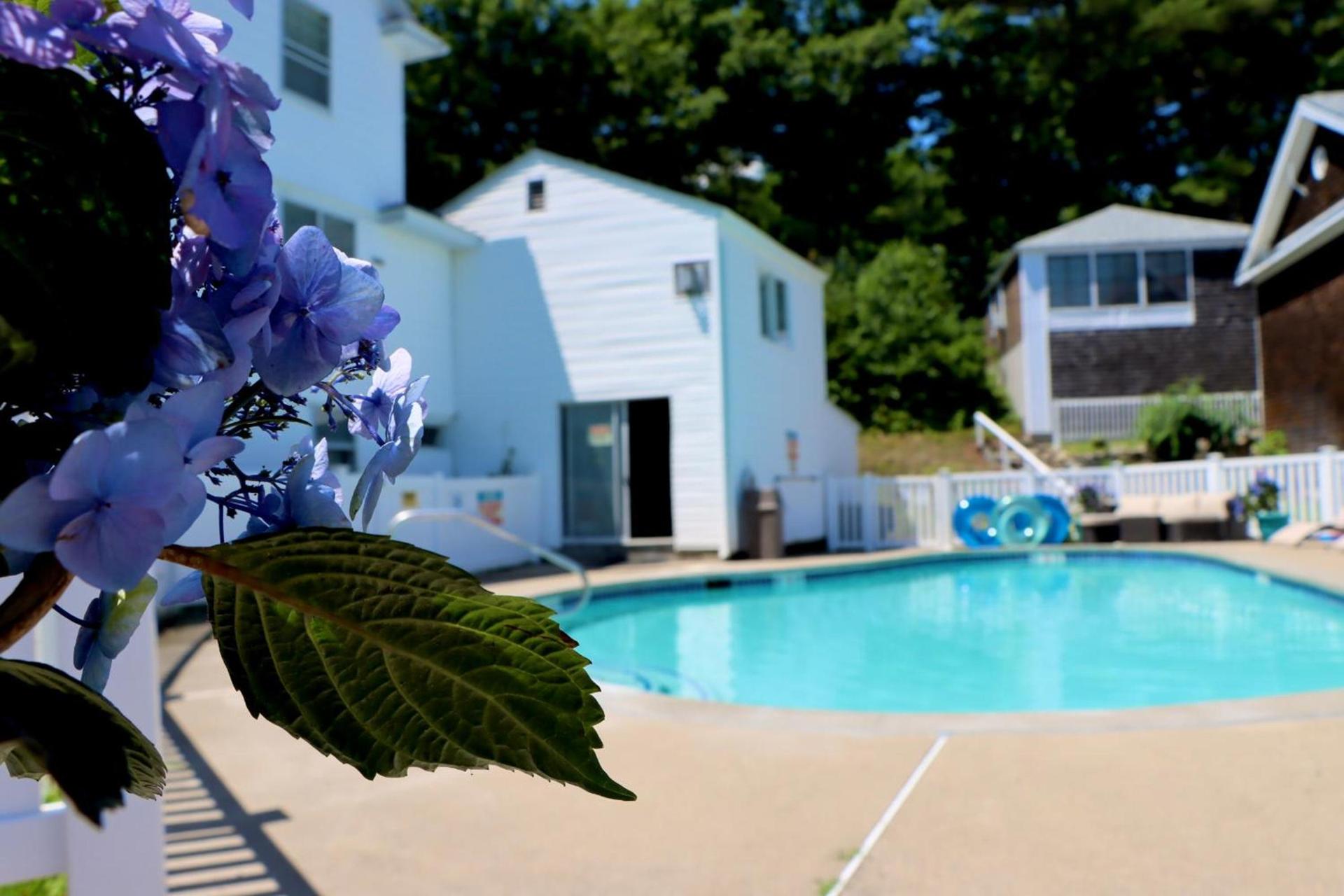 Sea View Motel photo 15