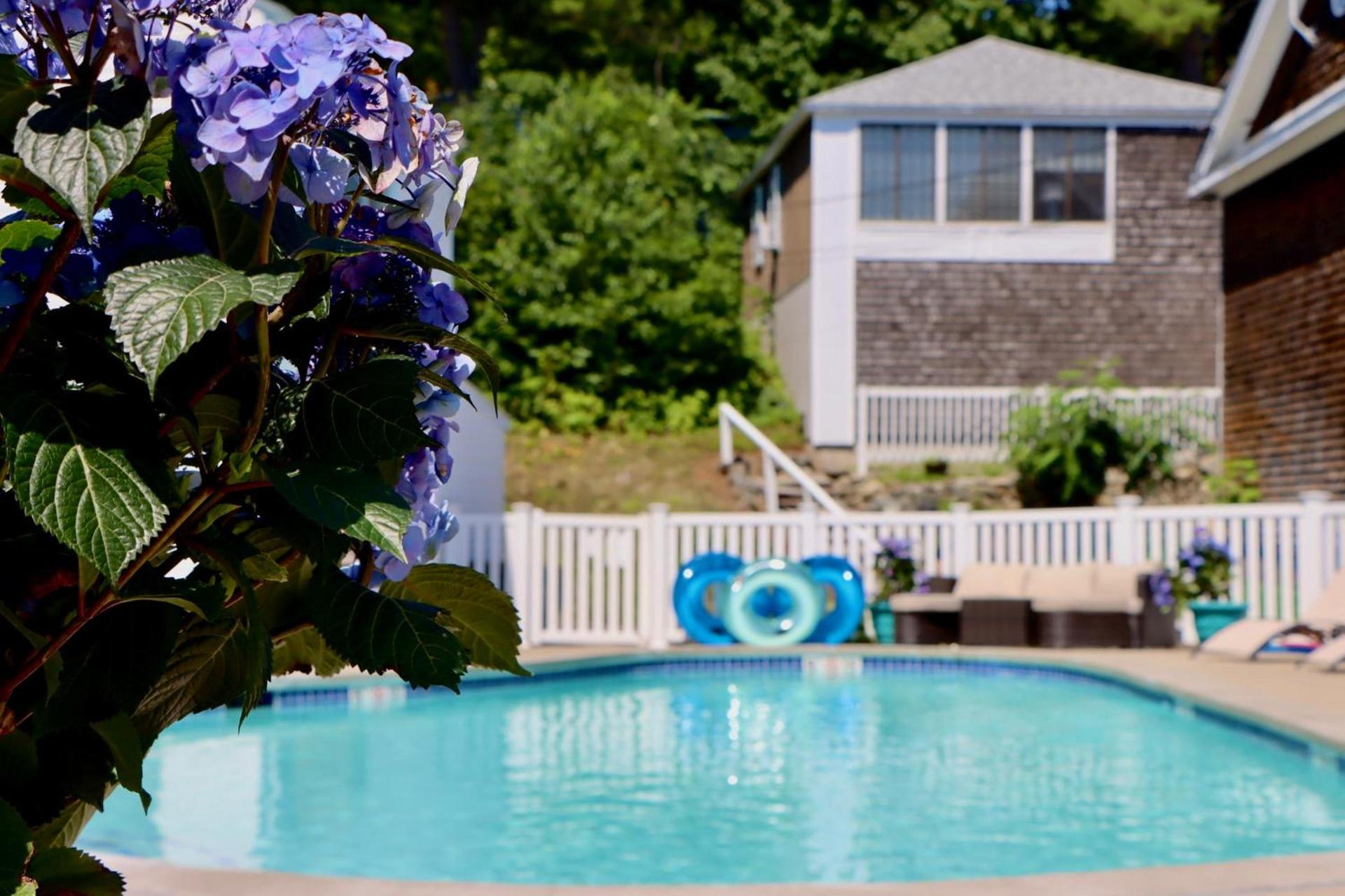 Sea View Motel photo 8