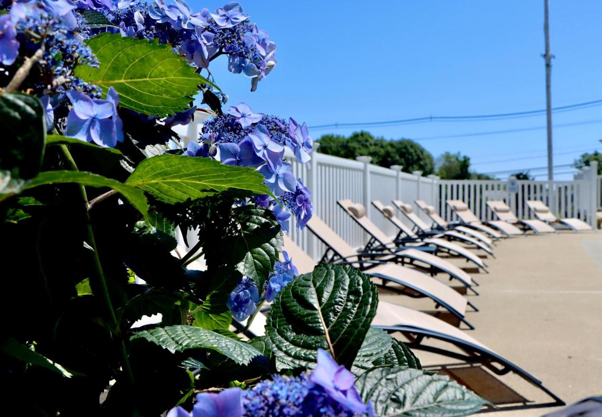 Sea View Motel photo 19