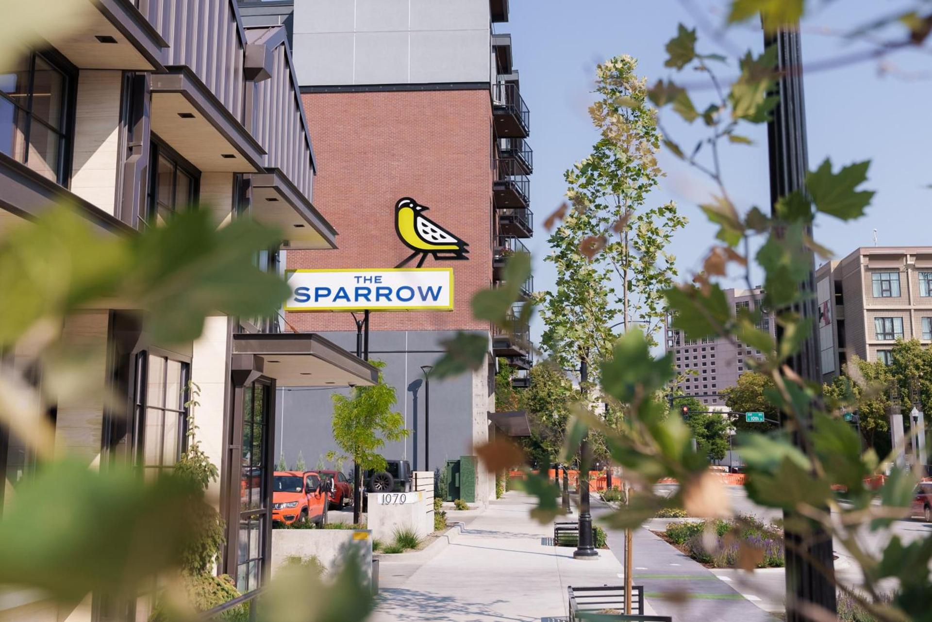 The SPARROW photo 7