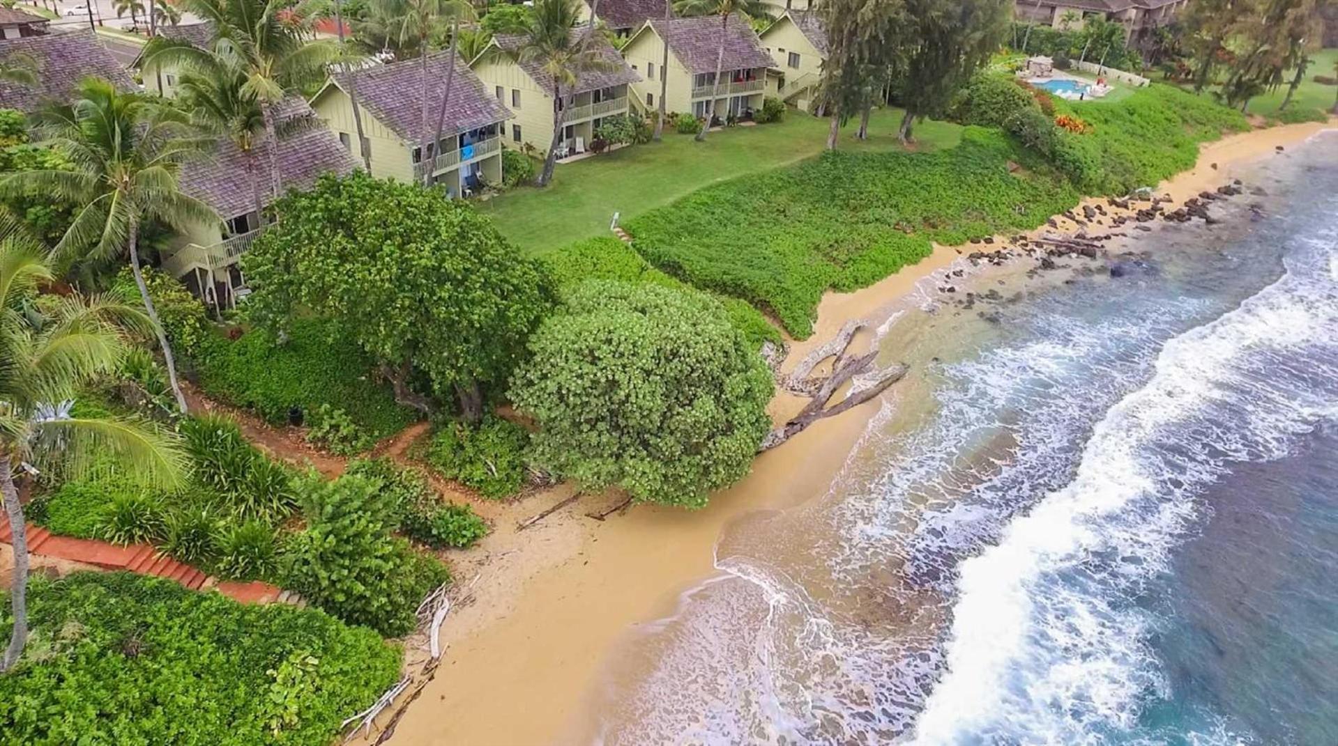 Kapaa Sands 10 photo 21