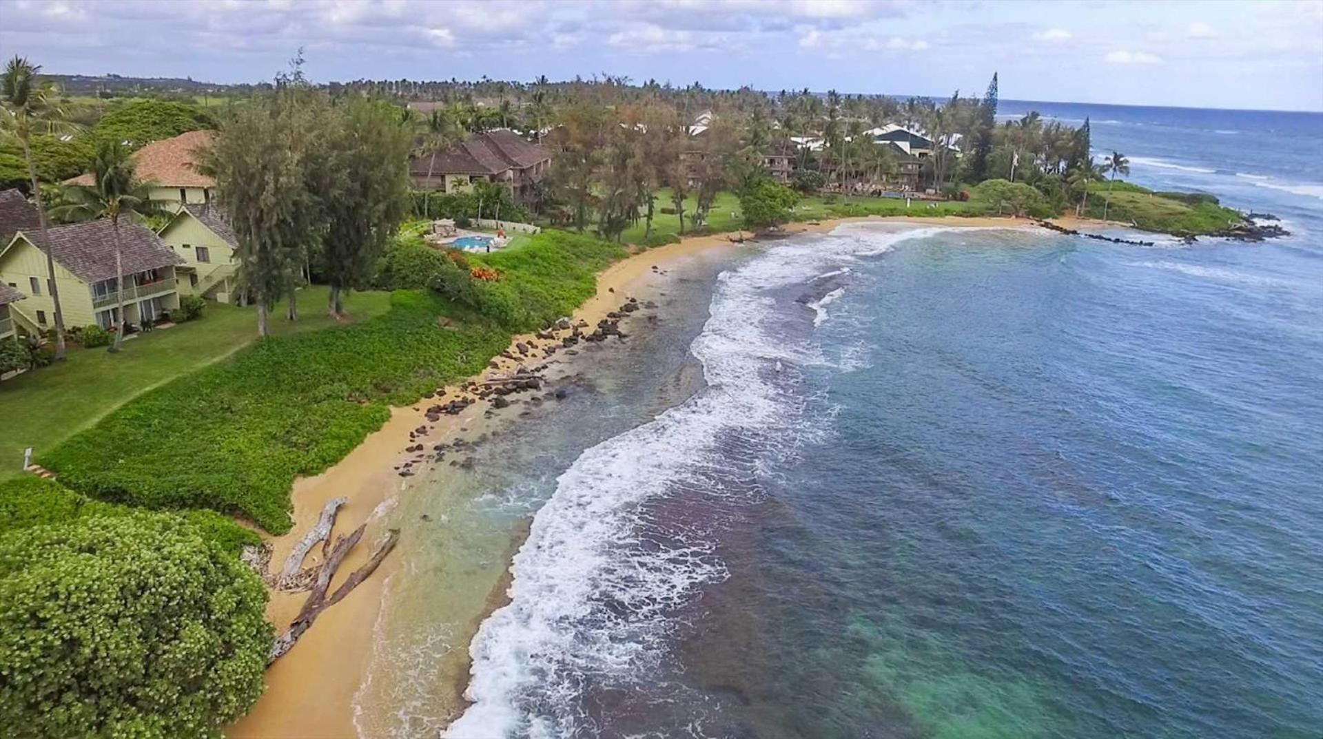 Kapaa Sands 10 photo 22