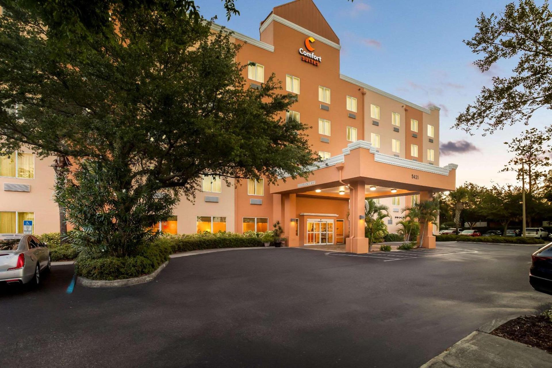 Comfort Suites Tampa Airport North photo 4