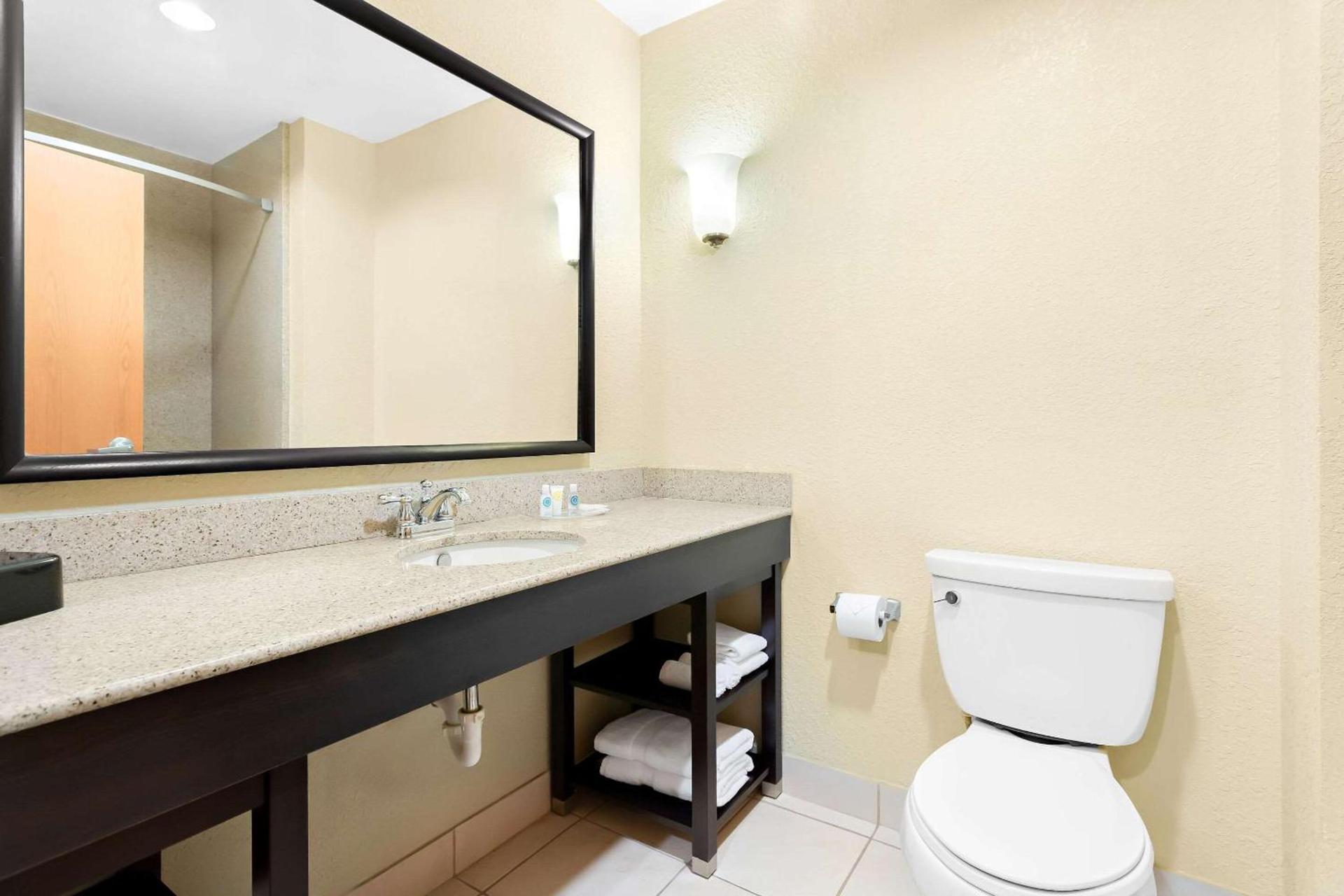Comfort Suites Tampa Airport North photo 9