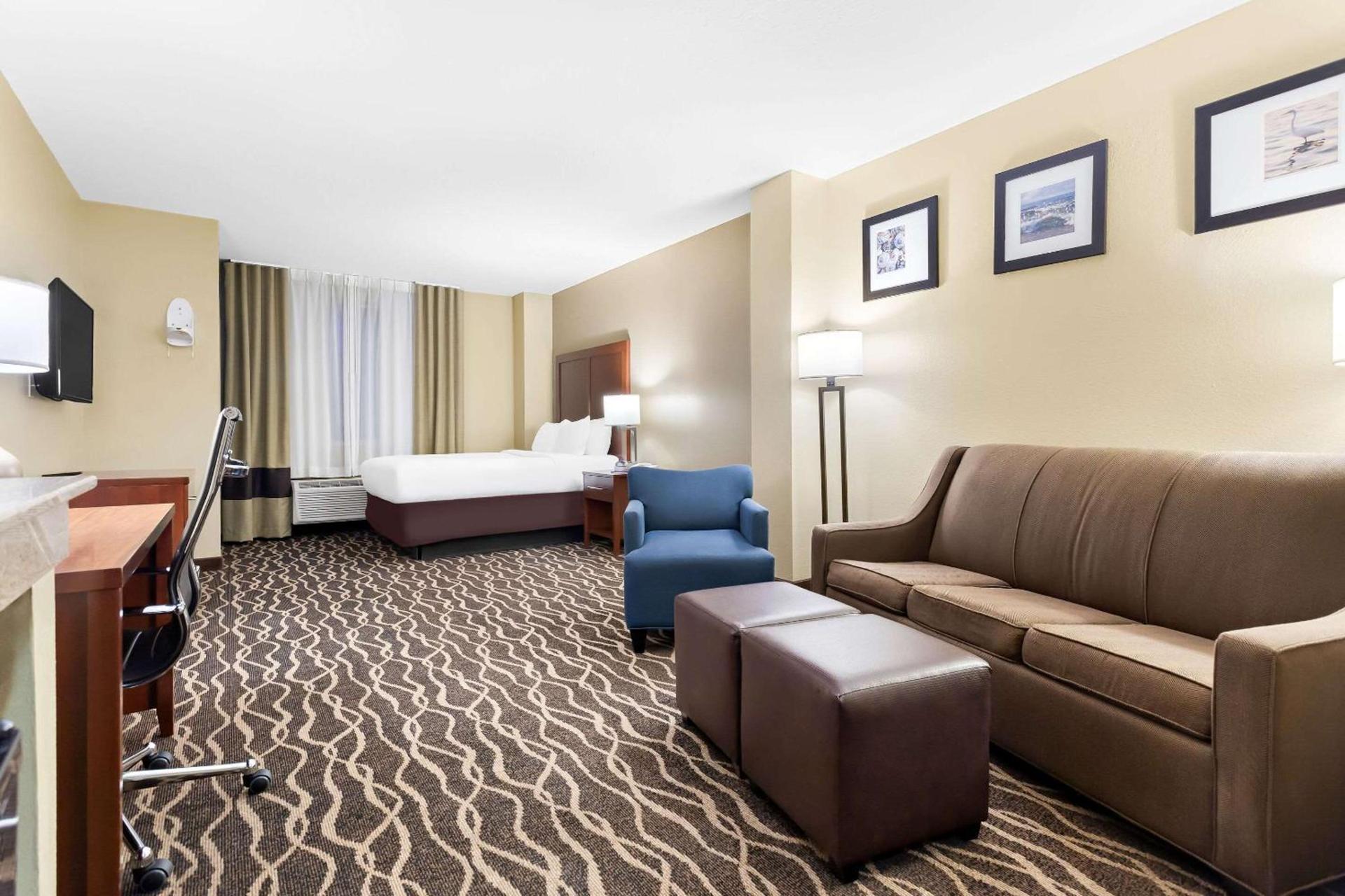 Comfort Suites Tampa Airport North photo 11