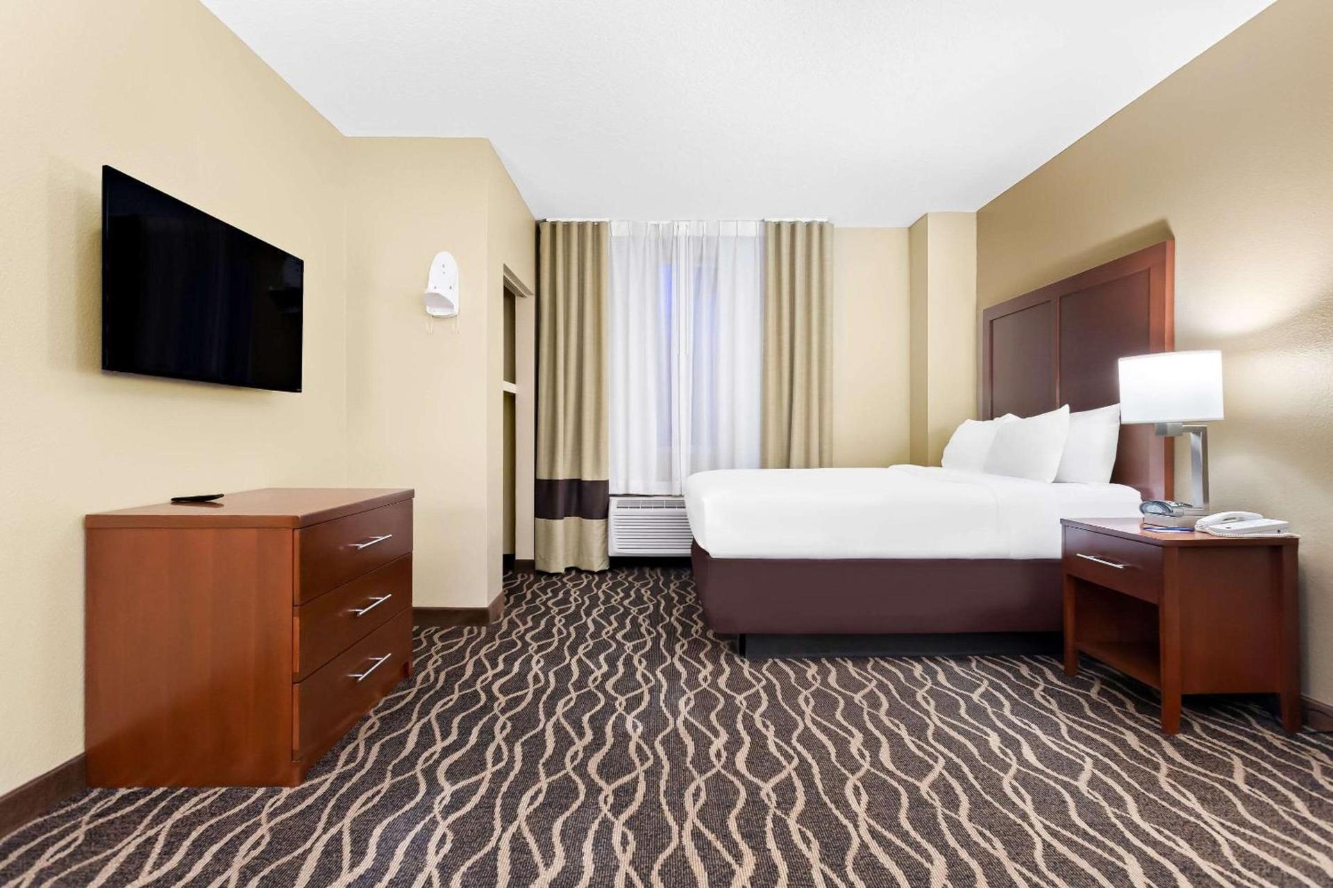 Comfort Suites Tampa Airport North photo 12