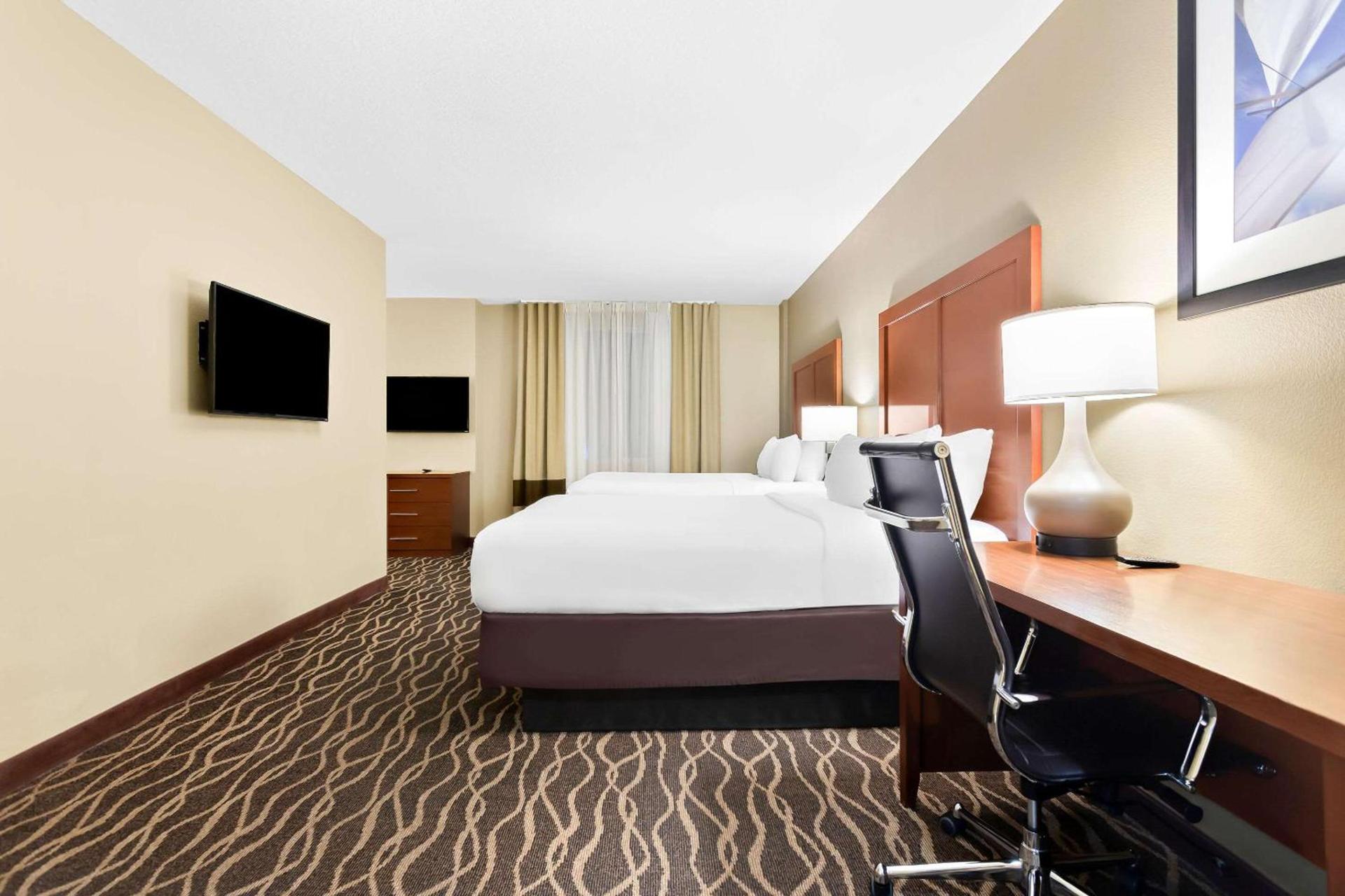 Comfort Suites Tampa Airport North photo 14