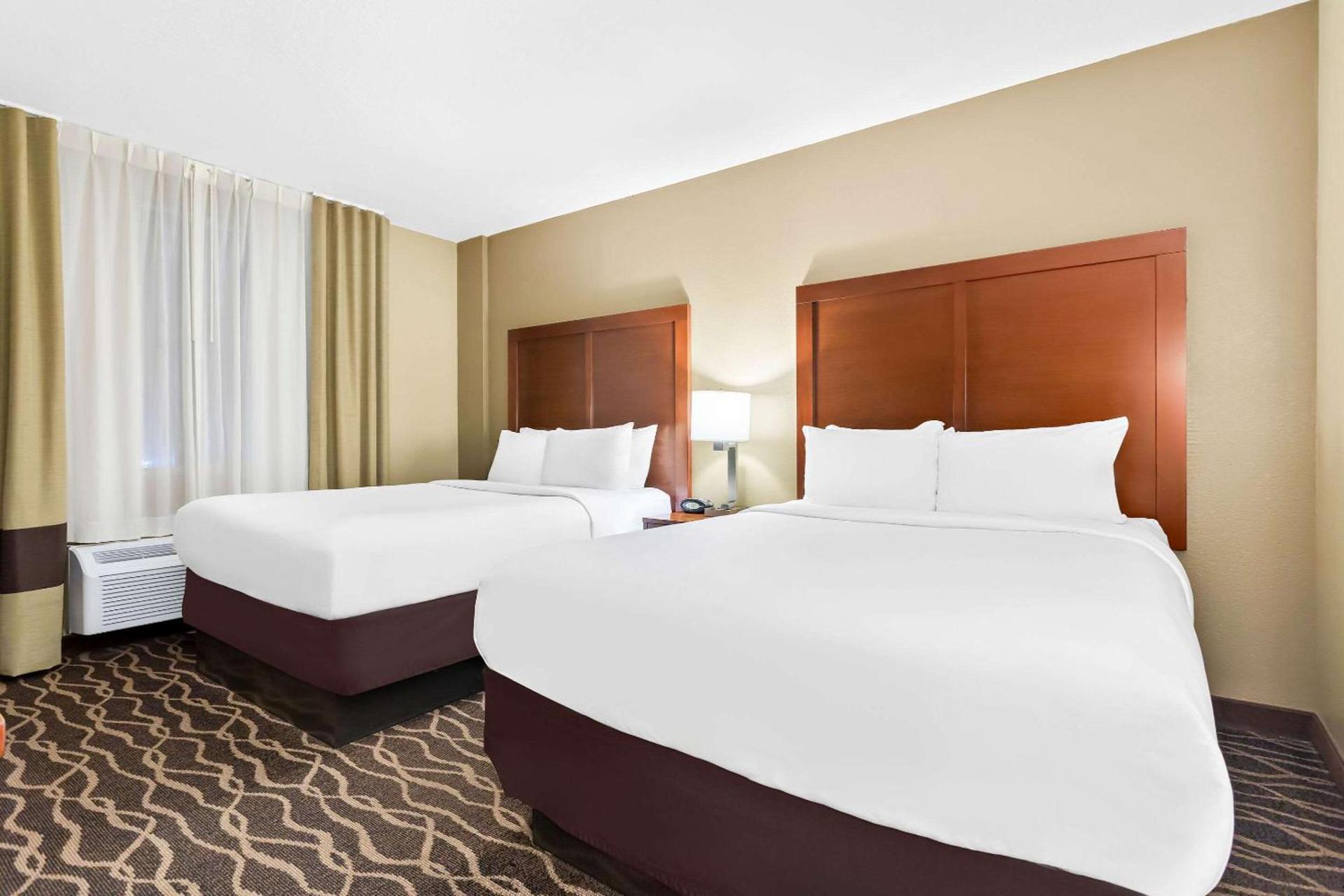 Comfort Suites Tampa Airport North photo 17