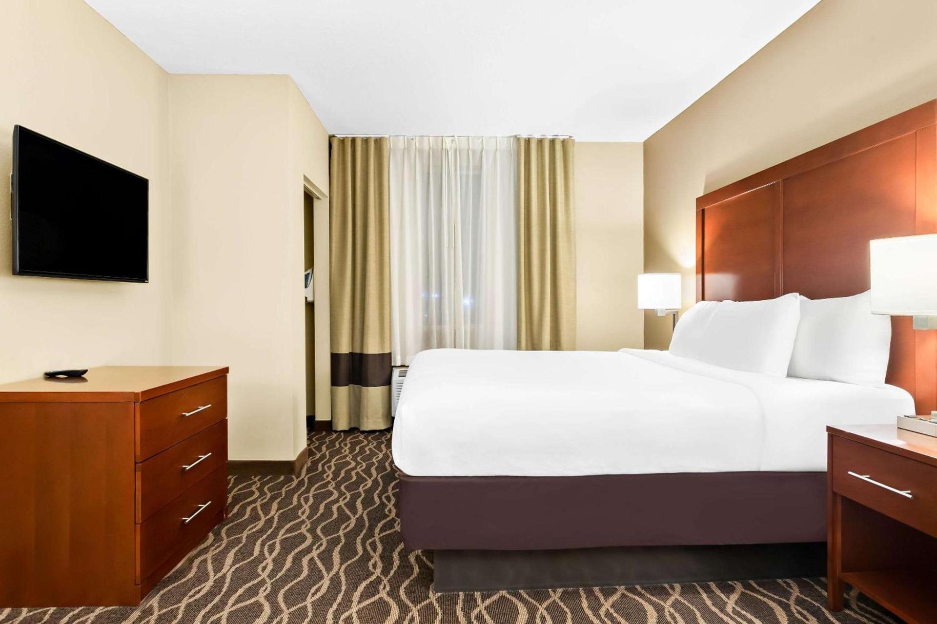 Comfort Suites Tampa Airport North photo 19