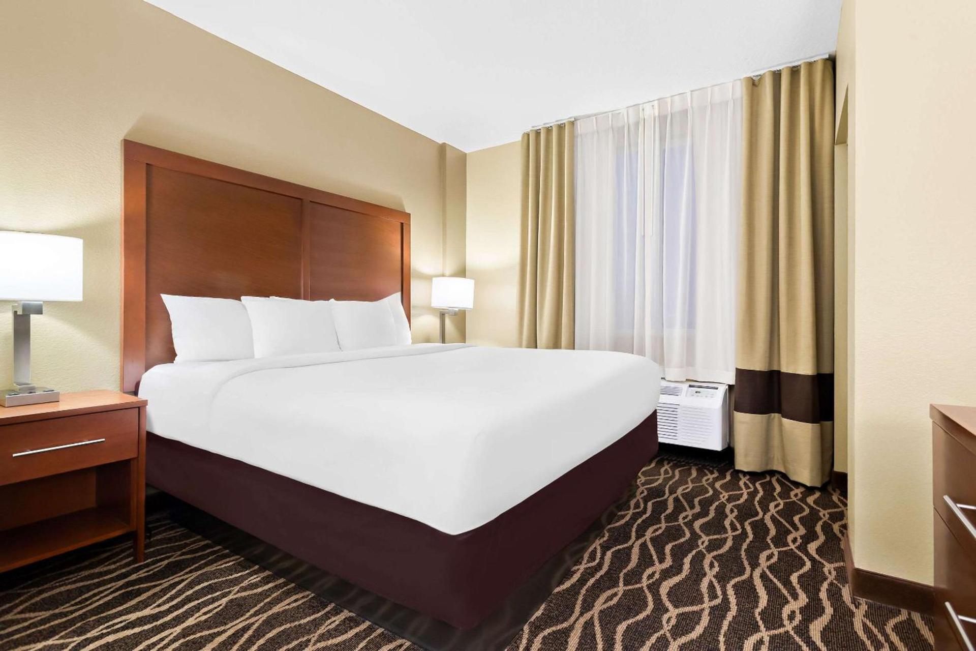 Comfort Suites Tampa Airport North photo 21