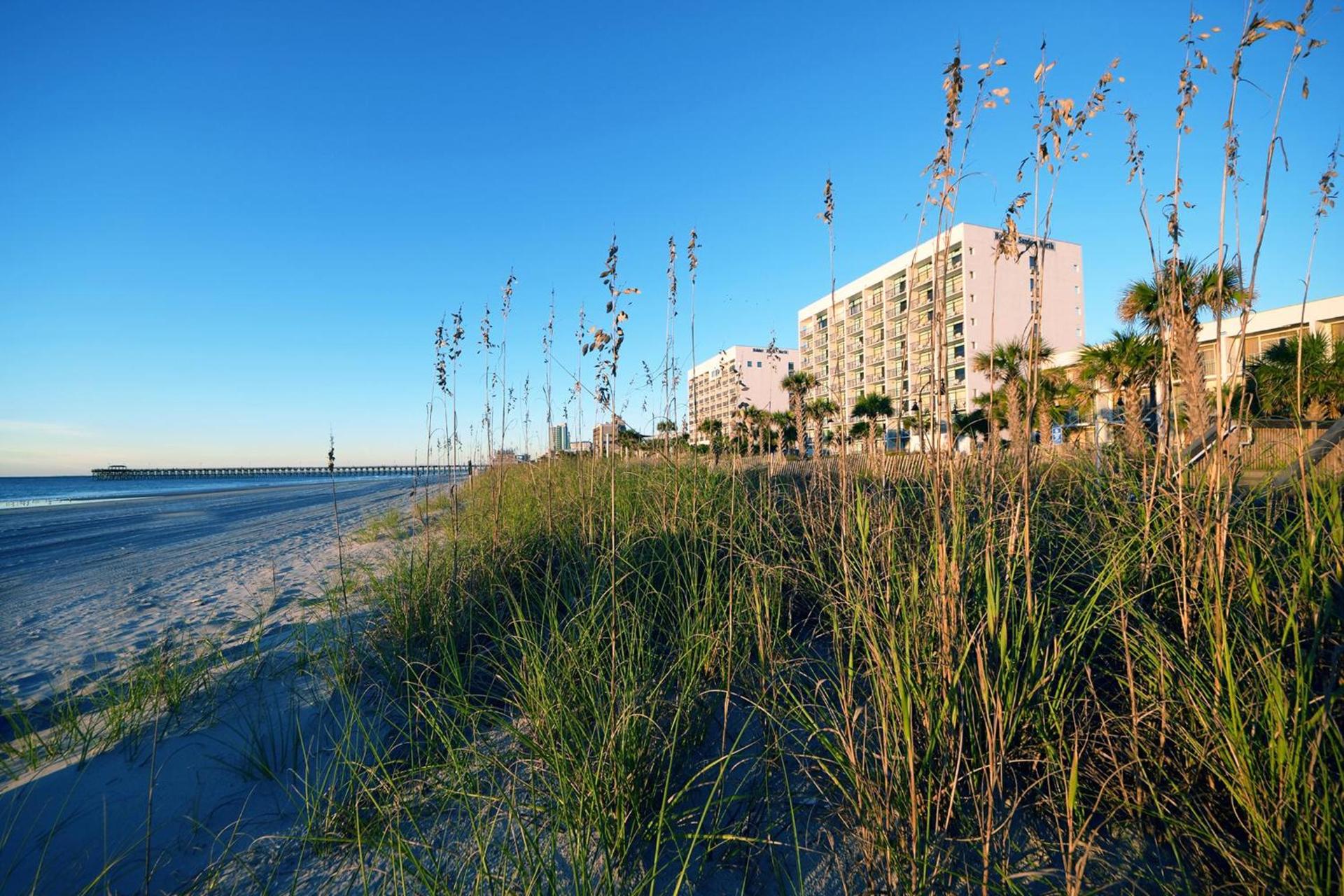 Holiday Sands North "On the Boardwalk" photo 39