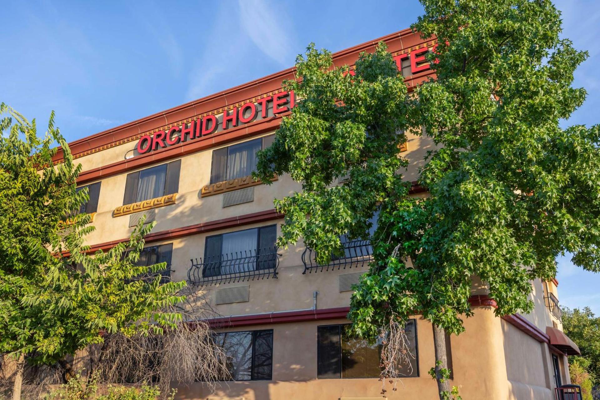 Best Western Plus Orchid Hotel & Suites — hotel in Roseville