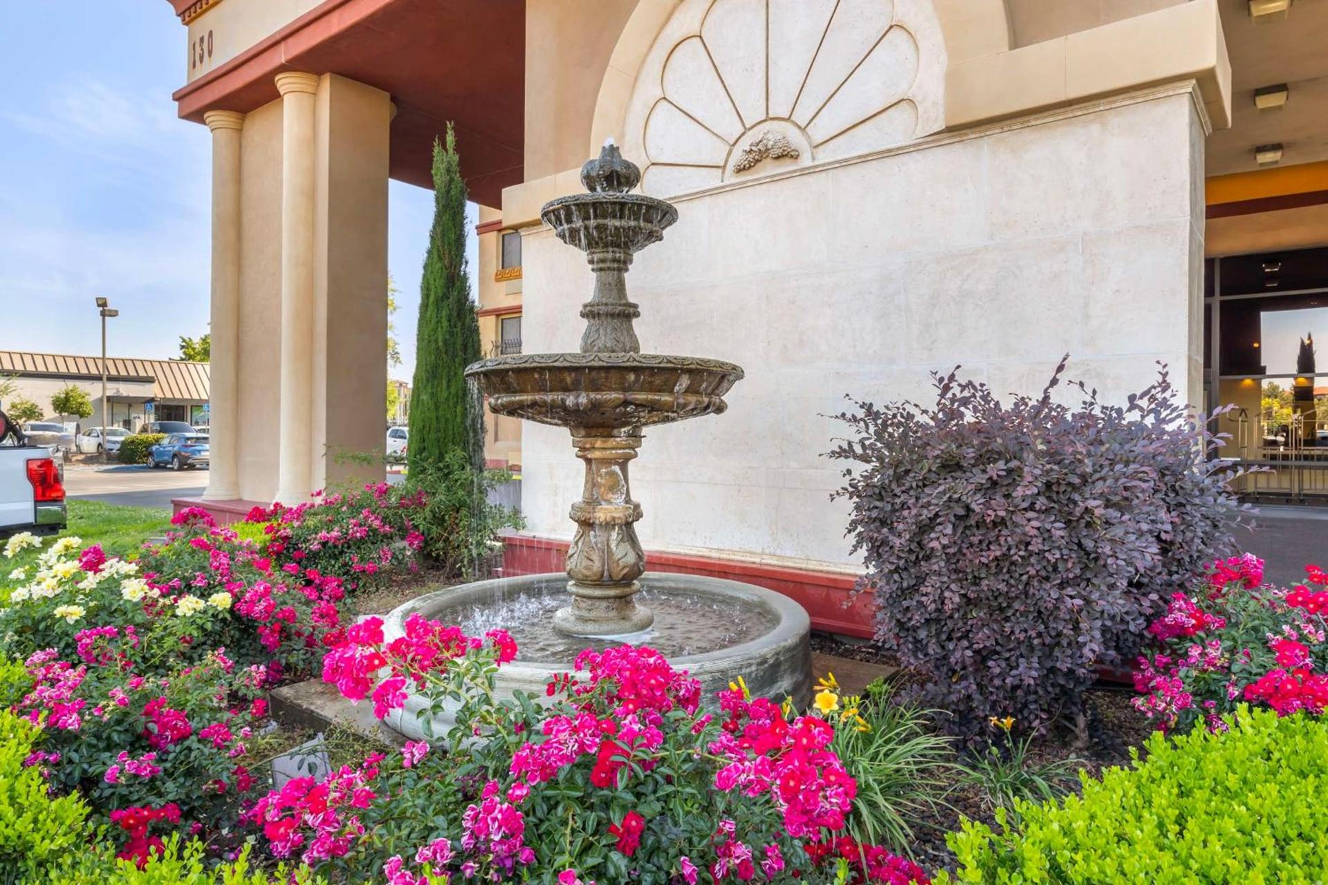 Best Western Plus Orchid Hotel & Suites photo 60