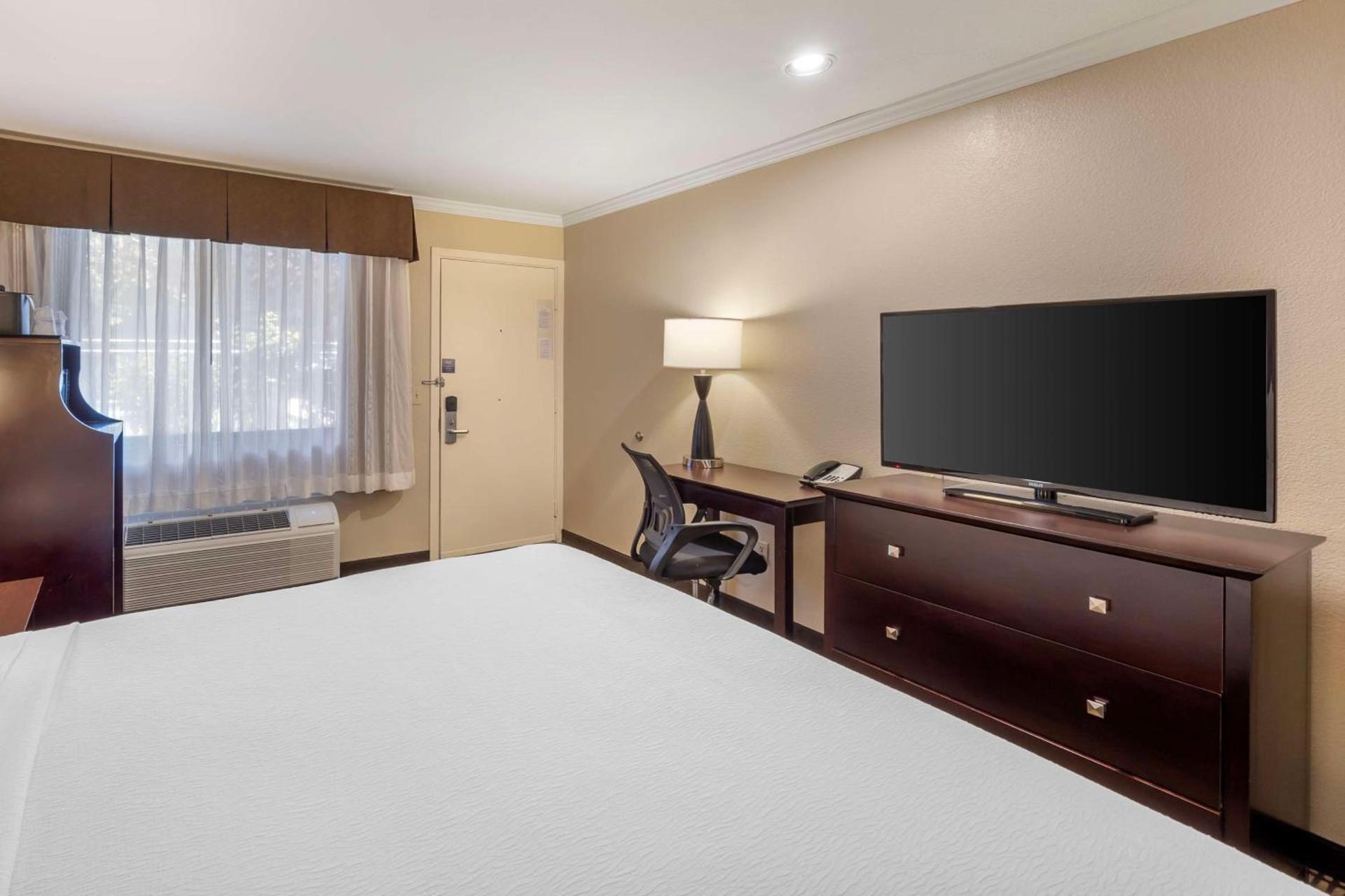 Best Western Plus Orchid Hotel & Suites photo 6