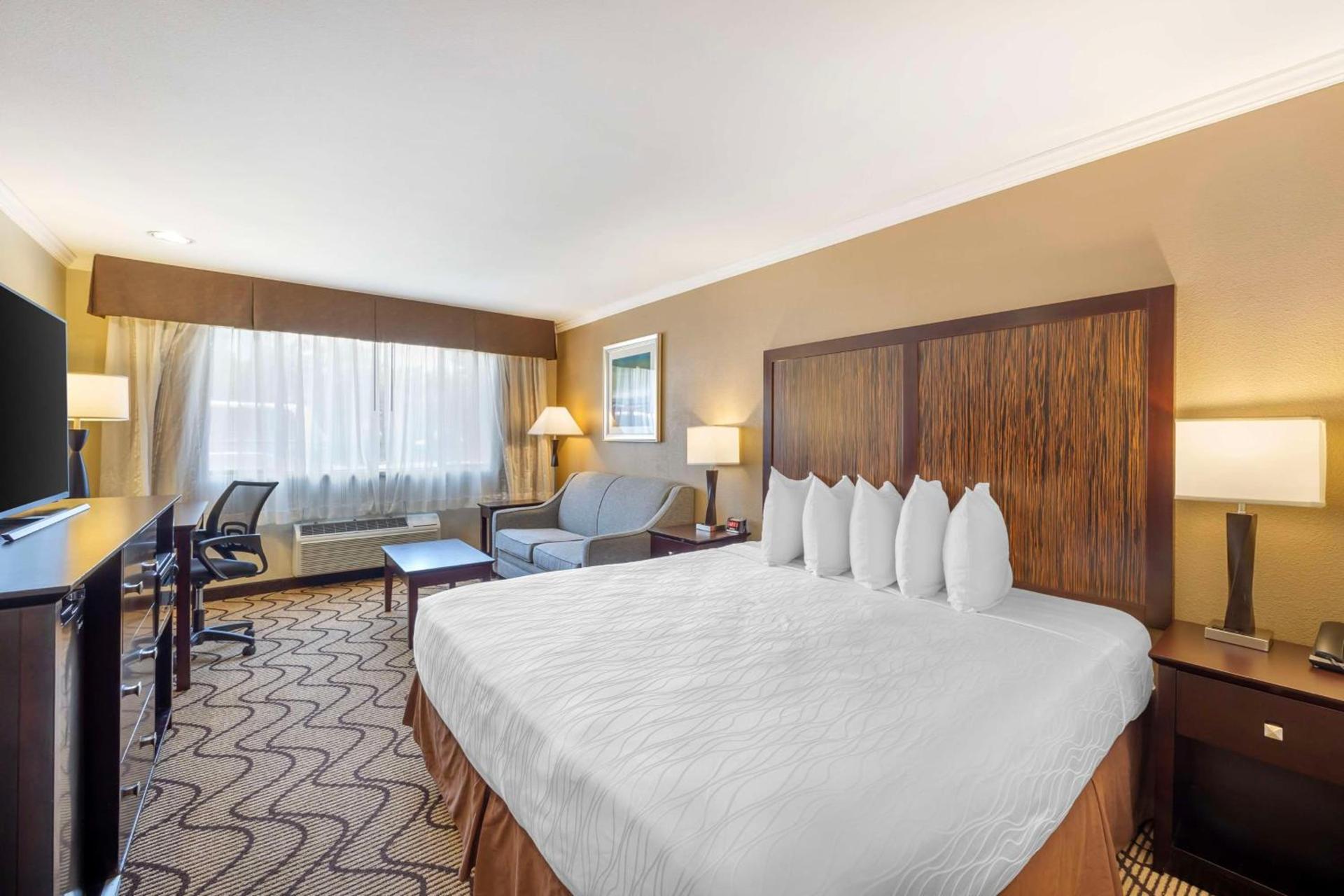 Best Western Plus Orchid Hotel & Suites photo 17