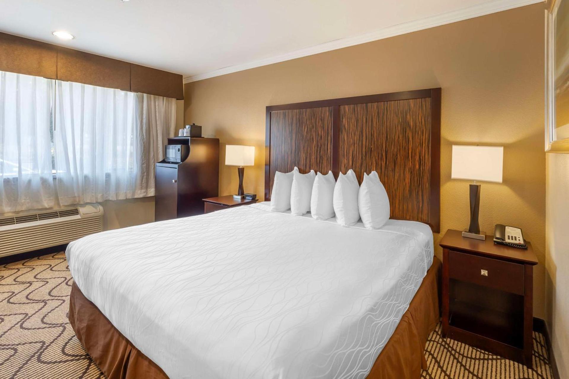 Best Western Plus Orchid Hotel & Suites photo 21