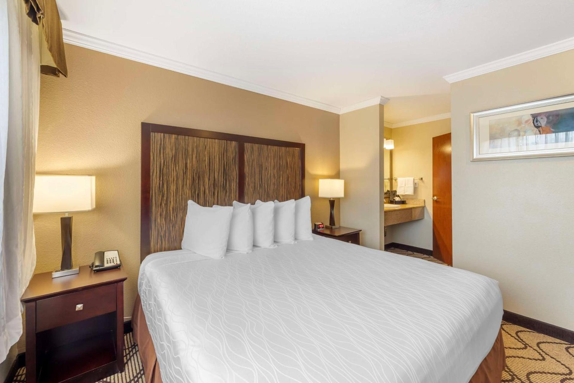 Best Western Plus Orchid Hotel & Suites photo 39