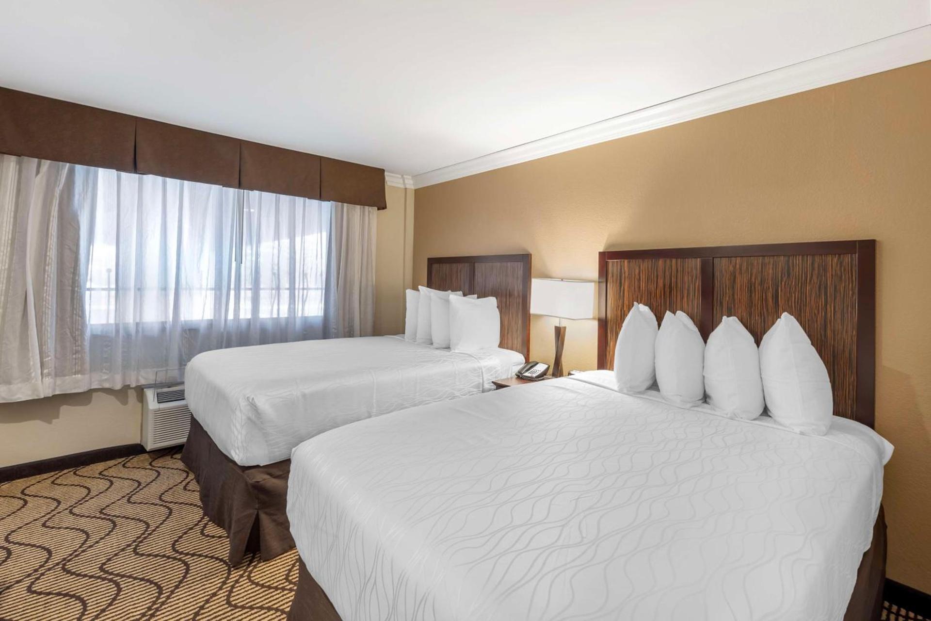 Best Western Plus Orchid Hotel & Suites photo 73