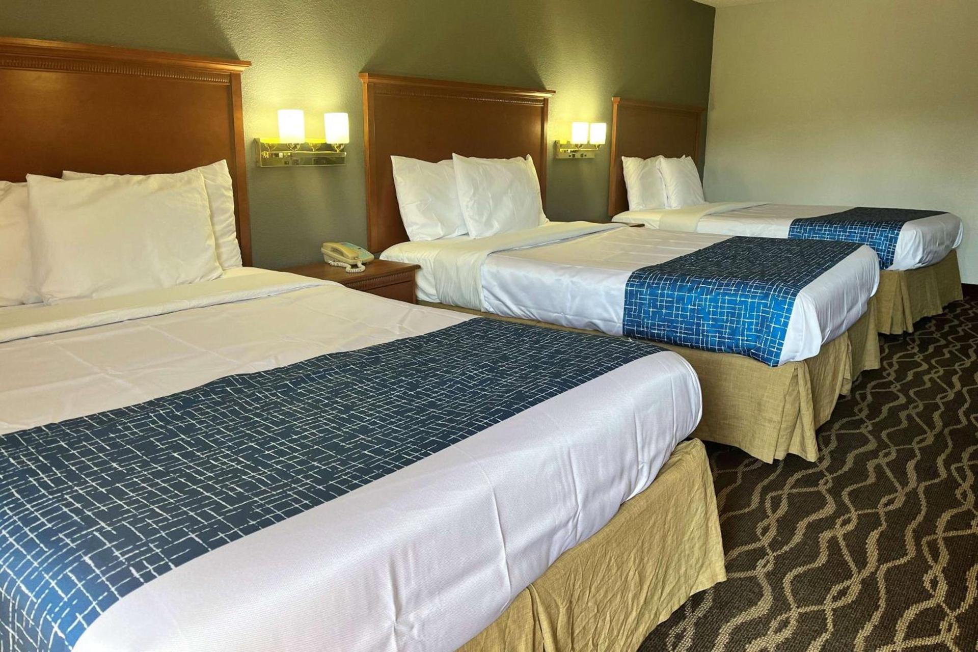 Travelodge by Wyndham Terre Haute photo 8