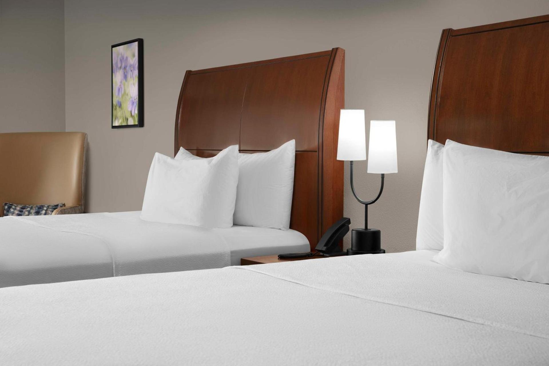 Hilton Garden Inn Hoffman Estates photo 16