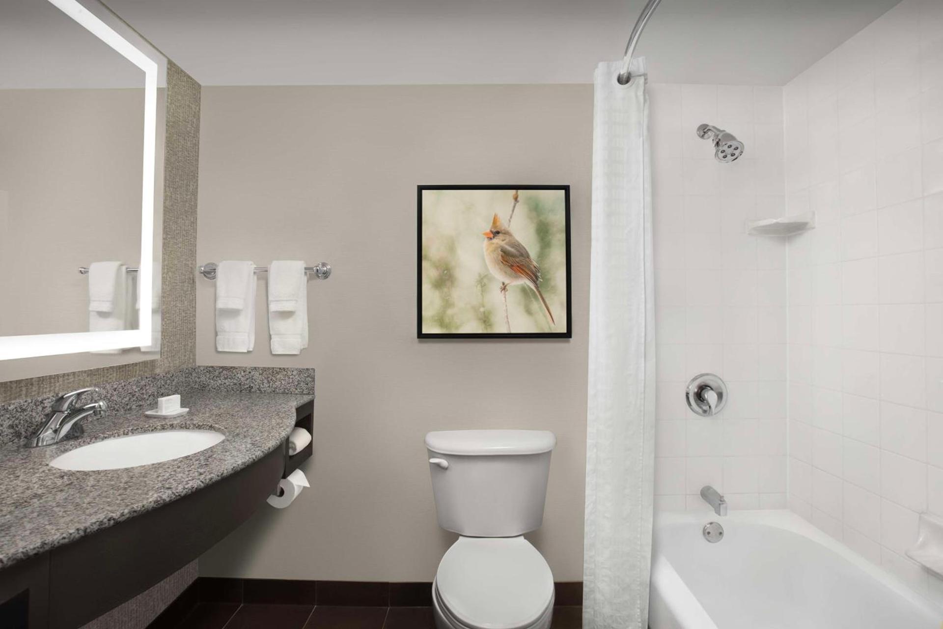 Hilton Garden Inn Hoffman Estates photo 53
