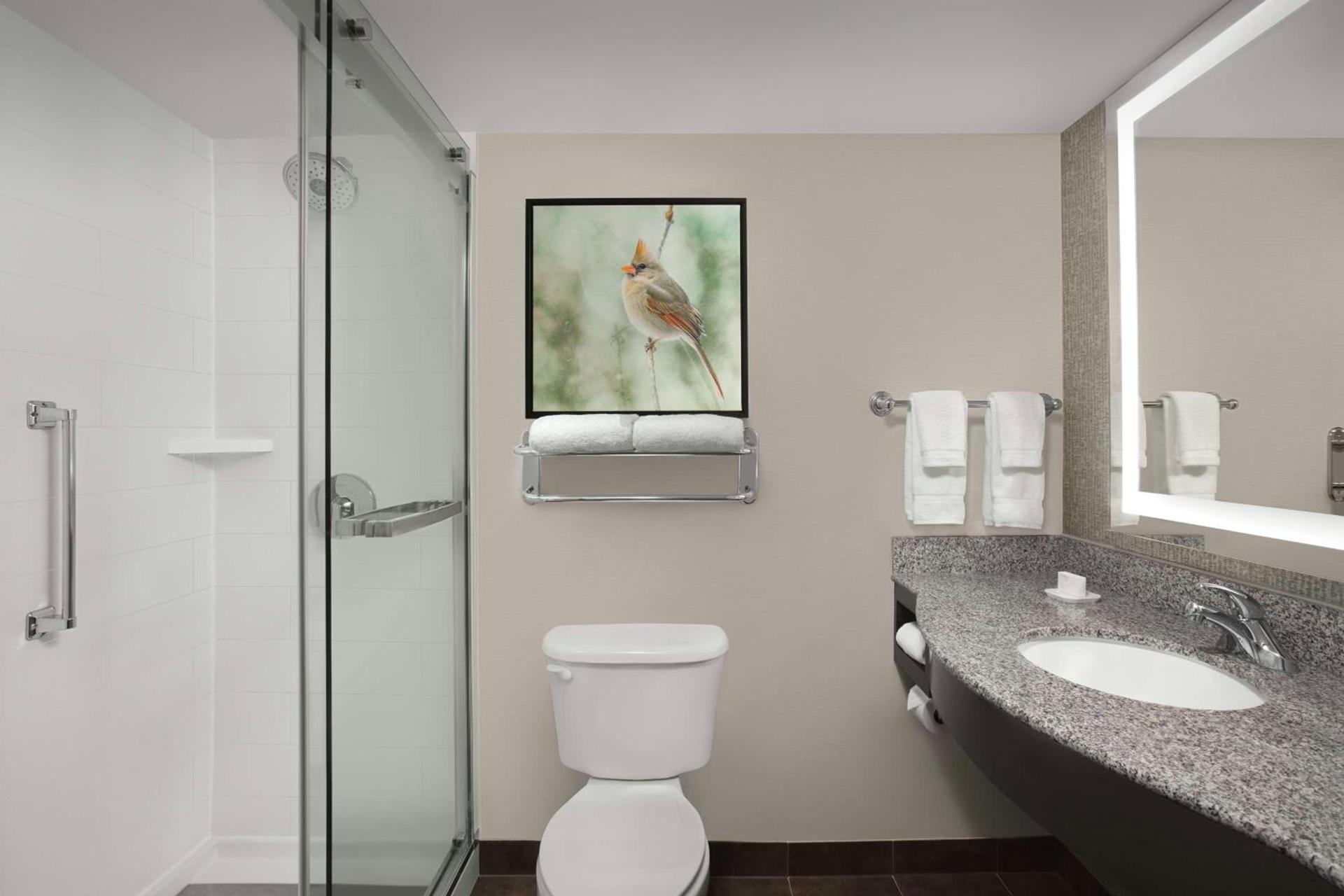 Hilton Garden Inn Hoffman Estates photo 47