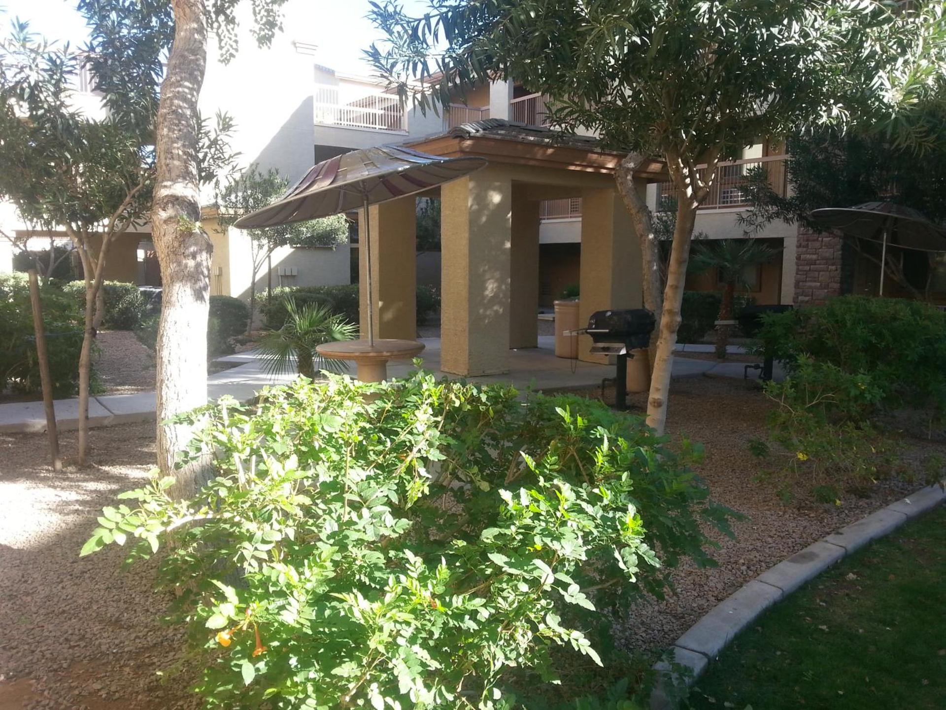 Siegel Select Casa Grande photo 9