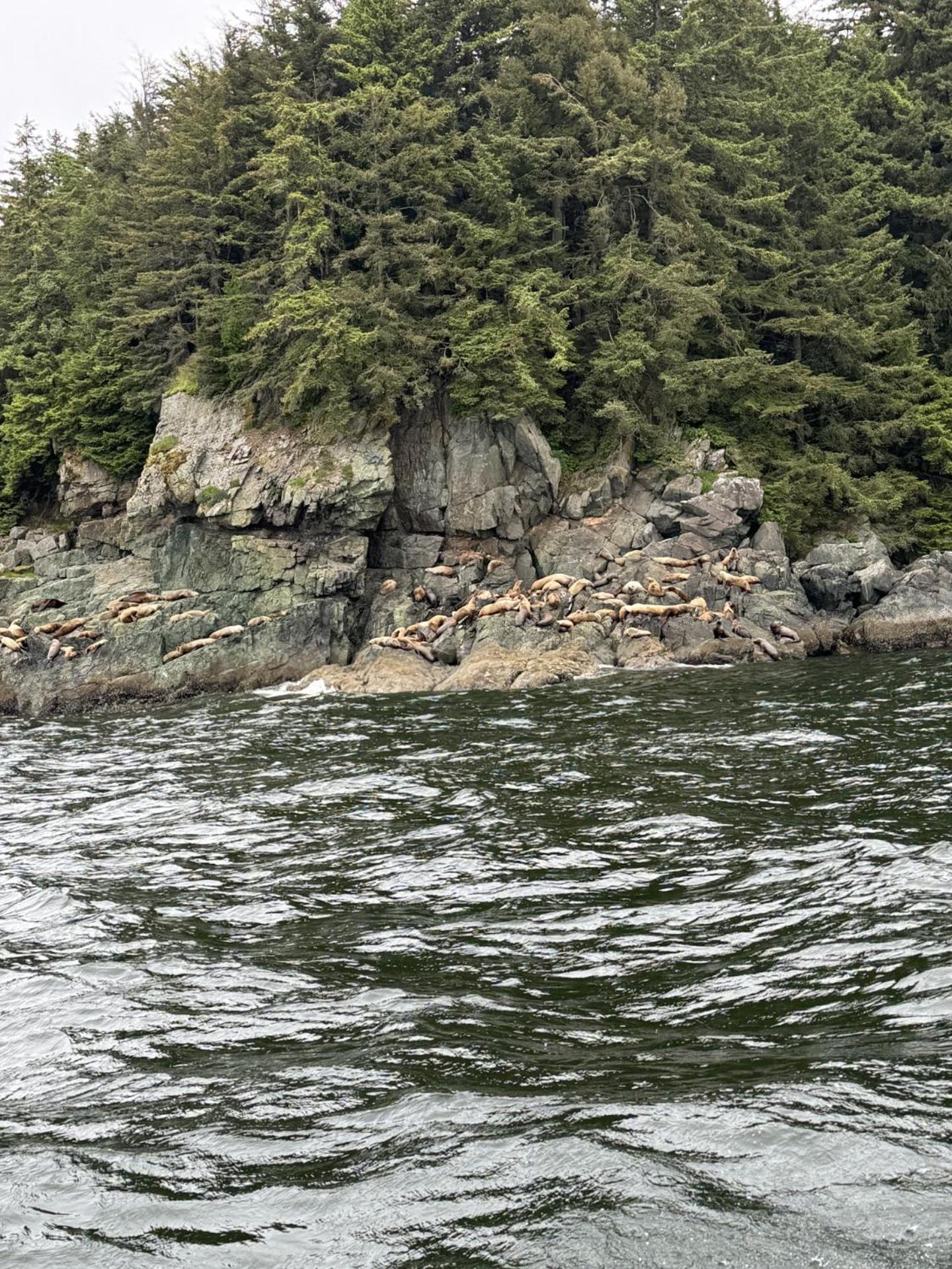 Waterfront on Glacier photo 28
