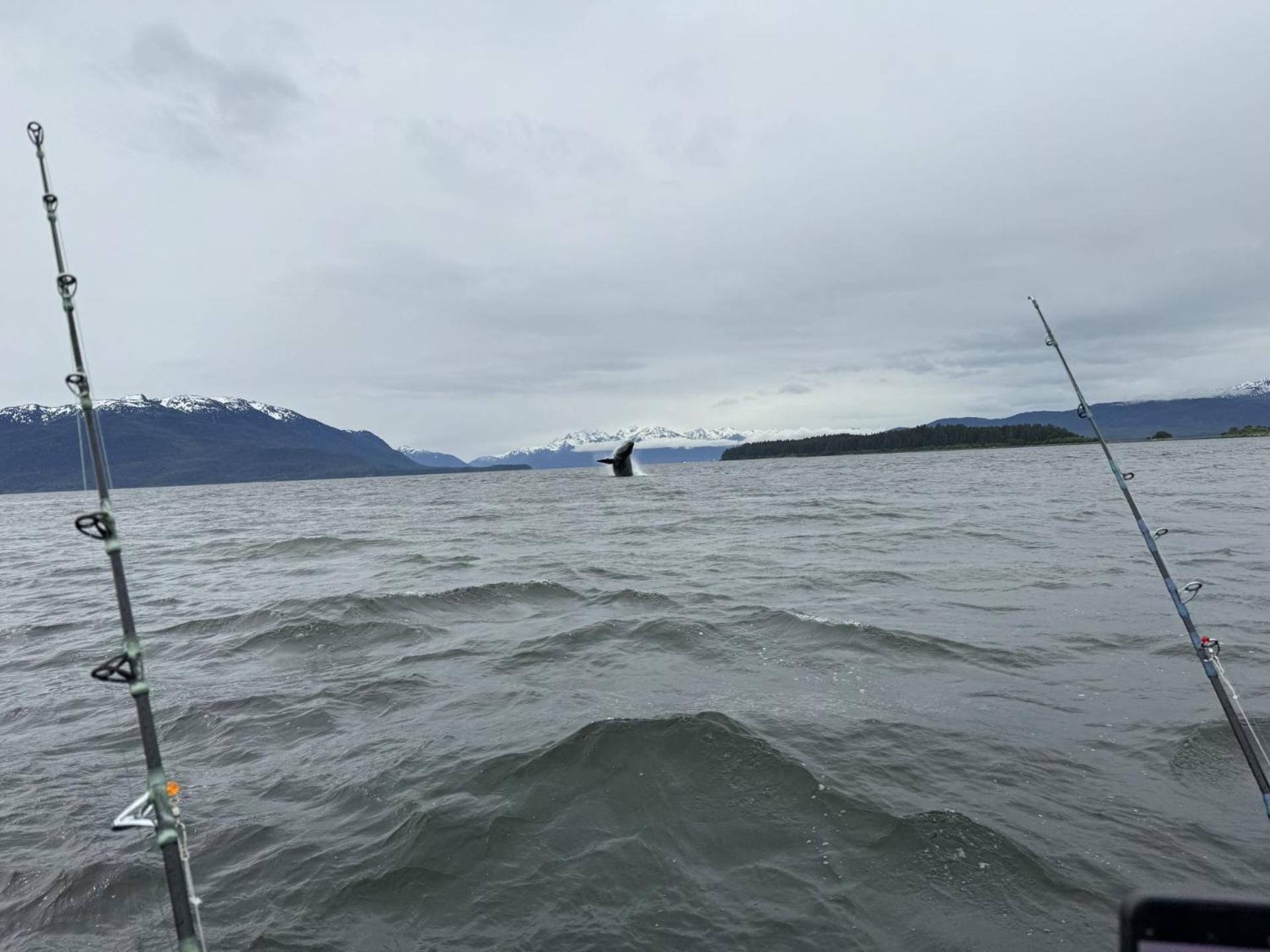 Waterfront on Glacier photo 36