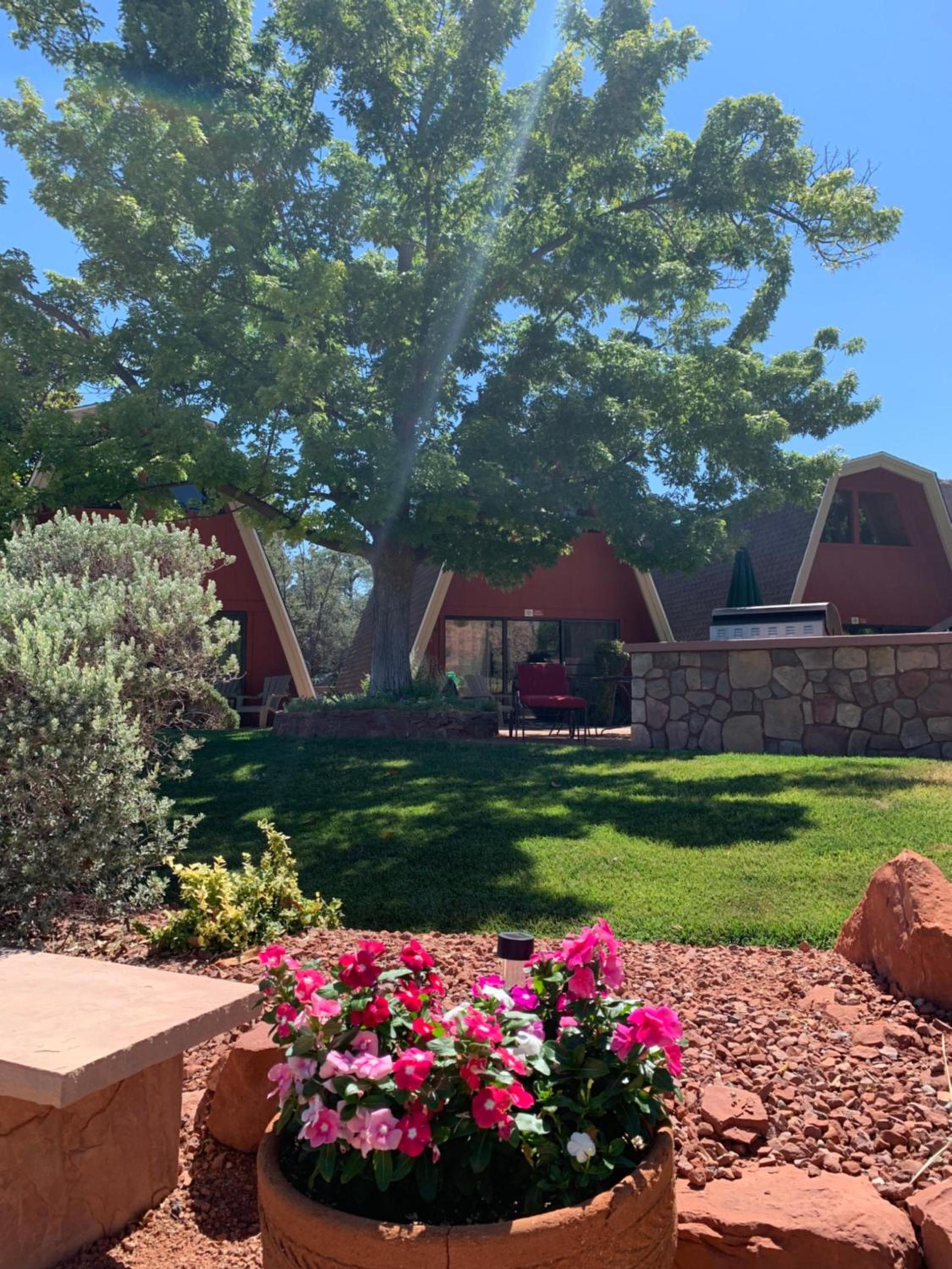 Red Agave Resort photo 45