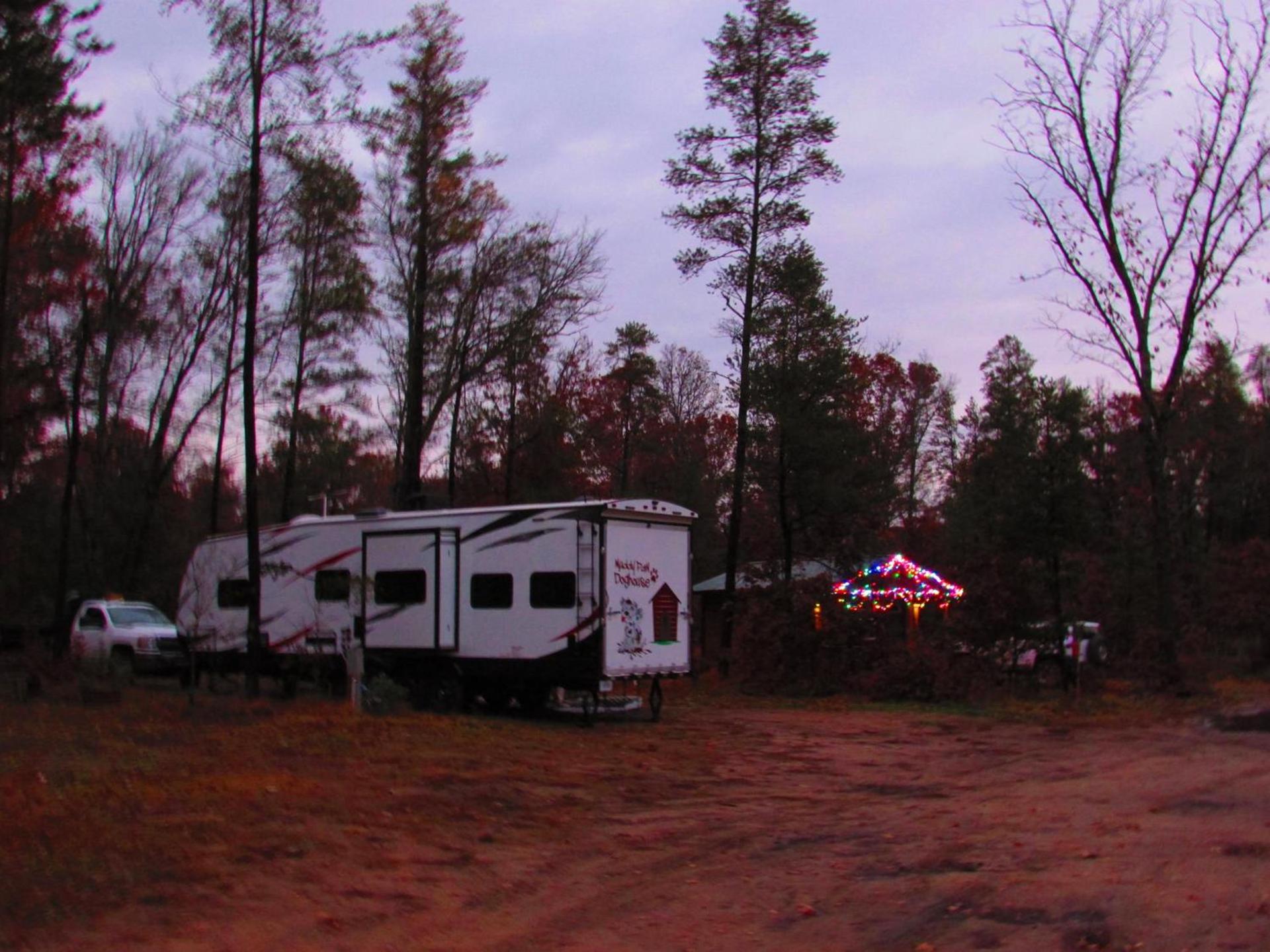 Best Bear Lodge photo 5