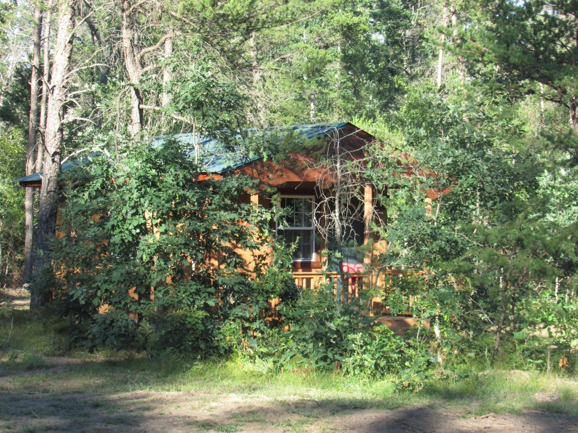 Best Bear Lodge photo 29